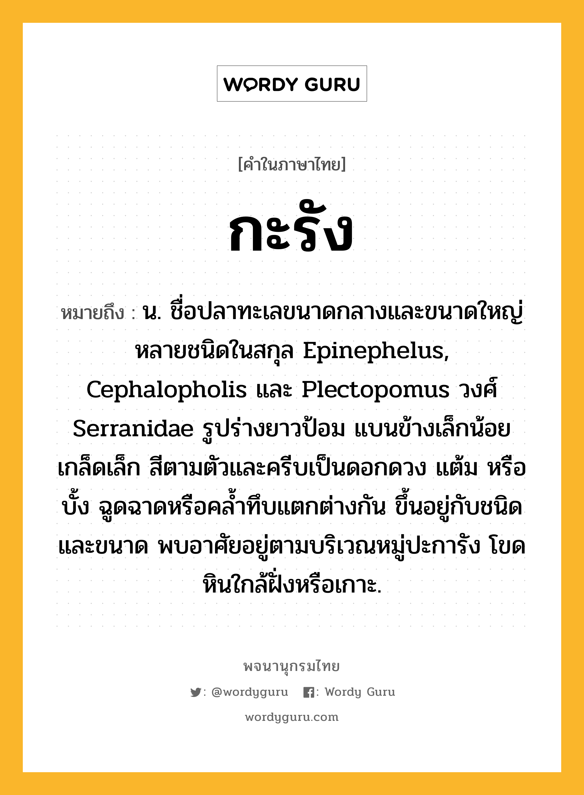 กะรัง ความหมาย หมายถึงอะไร?, คำในภาษาไทย กะรัง หมายถึง น. ชื่อปลาทะเลขนาดกลางและขนาดใหญ่หลายชนิดในสกุล Epinephelus, Cephalopholis และ Plectopomus วงศ์ Serranidae รูปร่างยาวป้อม แบนข้างเล็กน้อย เกล็ดเล็ก สีตามตัวและครีบเป็นดอกดวง แต้ม หรือบั้ง ฉูดฉาดหรือคลํ้าทึบแตกต่างกัน ขึ้นอยู่กับชนิดและขนาด พบอาศัยอยู่ตามบริเวณหมู่ปะการัง โขดหินใกล้ฝั่งหรือเกาะ.