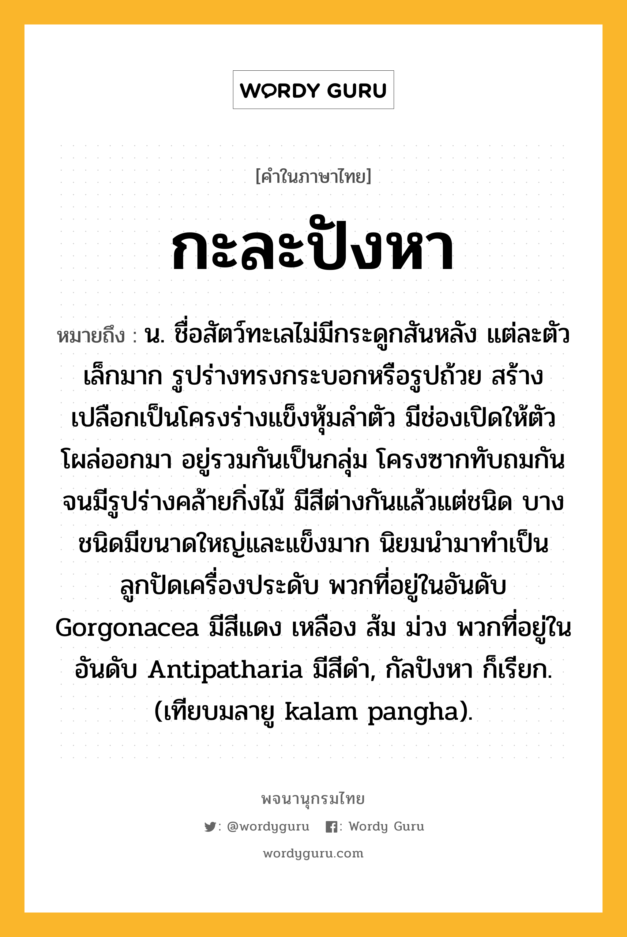 กะละปังหา ความหมาย หมายถึงอะไร?, คำในภาษาไทย กะละปังหา หมายถึง น. ชื่อสัตว์ทะเลไม่มีกระดูกสันหลัง แต่ละตัวเล็กมาก รูปร่างทรงกระบอกหรือรูปถ้วย สร้างเปลือกเป็นโครงร่างแข็งหุ้มลําตัว มีช่องเปิดให้ตัวโผล่ออกมา อยู่รวมกันเป็นกลุ่ม โครงซากทับถมกันจนมีรูปร่างคล้ายกิ่งไม้ มีสีต่างกันแล้วแต่ชนิด บางชนิดมีขนาดใหญ่และแข็งมาก นิยมนํามาทําเป็นลูกปัดเครื่องประดับ พวกที่อยู่ในอันดับ Gorgonacea มีสีแดง เหลือง ส้ม ม่วง พวกที่อยู่ในอันดับ Antipatharia มีสีดํา, กัลปังหา ก็เรียก. (เทียบมลายู kalam pangha).