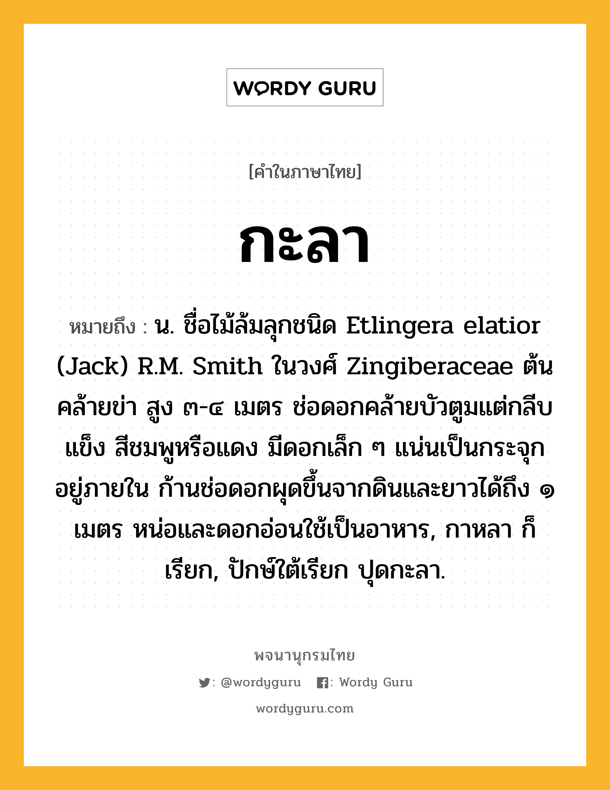 กะลา ความหมาย หมายถึงอะไร?, คำในภาษาไทย กะลา หมายถึง น. ชื่อไม้ล้มลุกชนิด Etlingera elatior (Jack) R.M. Smith ในวงศ์ Zingiberaceae ต้นคล้ายข่า สูง ๓-๔ เมตร ช่อดอกคล้ายบัวตูมแต่กลีบแข็ง สีชมพูหรือแดง มีดอกเล็ก ๆ แน่นเป็นกระจุกอยู่ภายใน ก้านช่อดอกผุดขึ้นจากดินและยาวได้ถึง ๑ เมตร หน่อและดอกอ่อนใช้เป็นอาหาร, กาหลา ก็เรียก, ปักษ์ใต้เรียก ปุดกะลา.