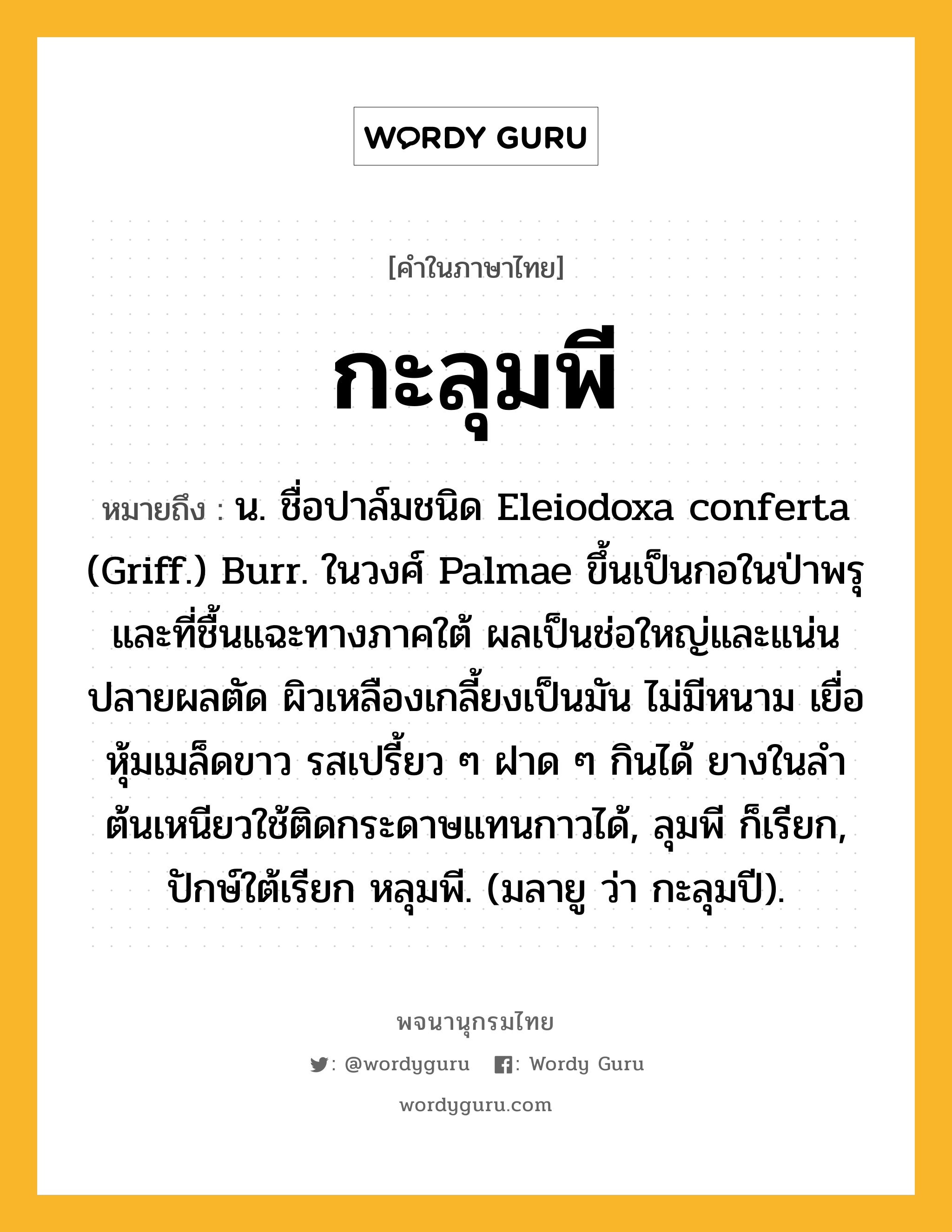 กะลุมพี ความหมาย หมายถึงอะไร?, คำในภาษาไทย กะลุมพี หมายถึง น. ชื่อปาล์มชนิด Eleiodoxa conferta (Griff.) Burr. ในวงศ์ Palmae ขึ้นเป็นกอในป่าพรุและที่ชื้นแฉะทางภาคใต้ ผลเป็นช่อใหญ่และแน่น ปลายผลตัด ผิวเหลืองเกลี้ยงเป็นมัน ไม่มีหนาม เยื่อหุ้มเมล็ดขาว รสเปรี้ยว ๆ ฝาด ๆ กินได้ ยางในลําต้นเหนียวใช้ติดกระดาษแทนกาวได้, ลุมพี ก็เรียก, ปักษ์ใต้เรียก หลุมพี. (มลายู ว่า กะลุมปี).