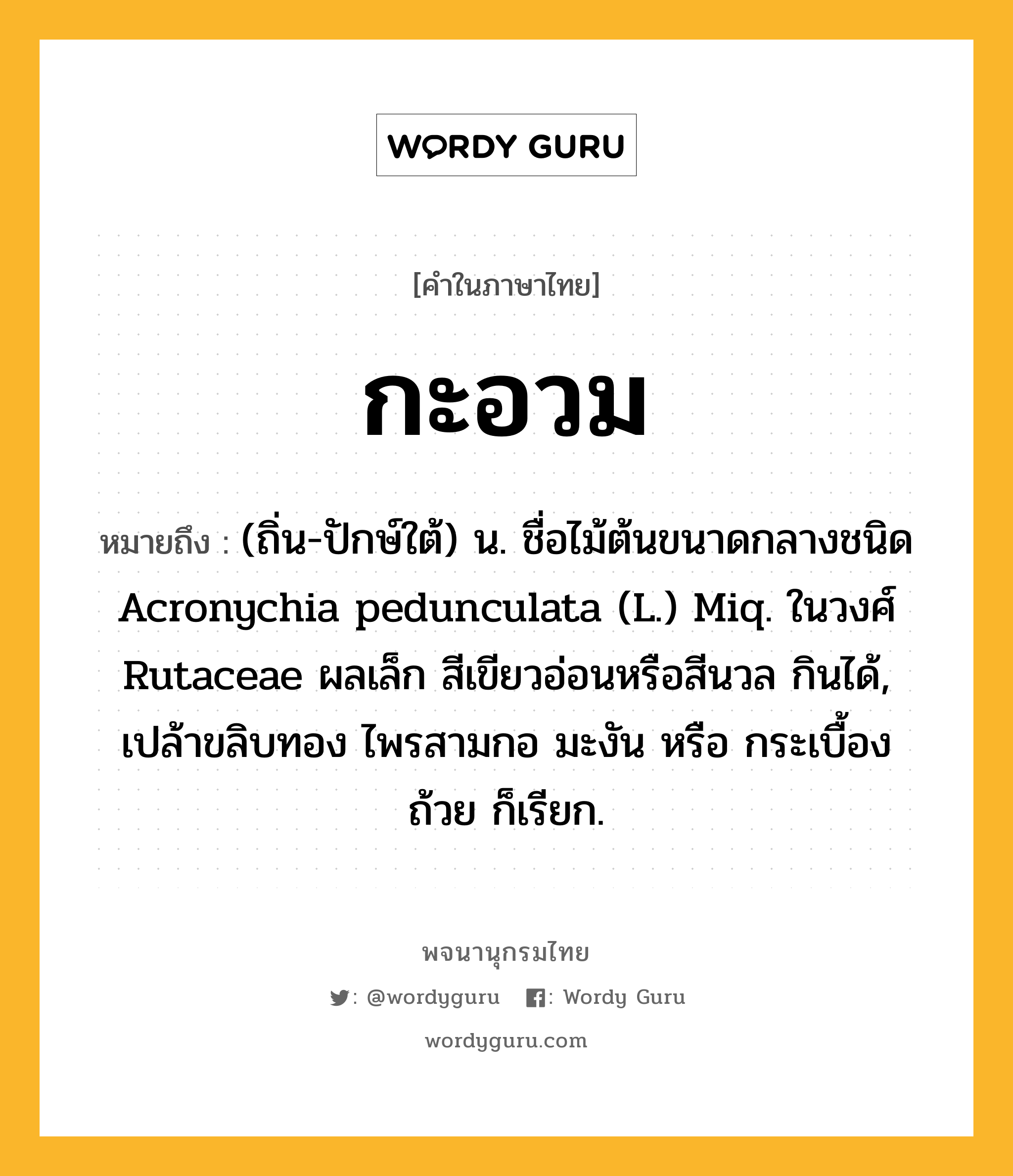 กะอวม ความหมาย หมายถึงอะไร?, คำในภาษาไทย กะอวม หมายถึง (ถิ่น-ปักษ์ใต้) น. ชื่อไม้ต้นขนาดกลางชนิด Acronychia pedunculata (L.) Miq. ในวงศ์ Rutaceae ผลเล็ก สีเขียวอ่อนหรือสีนวล กินได้, เปล้าขลิบทอง ไพรสามกอ มะงัน หรือ กระเบื้องถ้วย ก็เรียก.