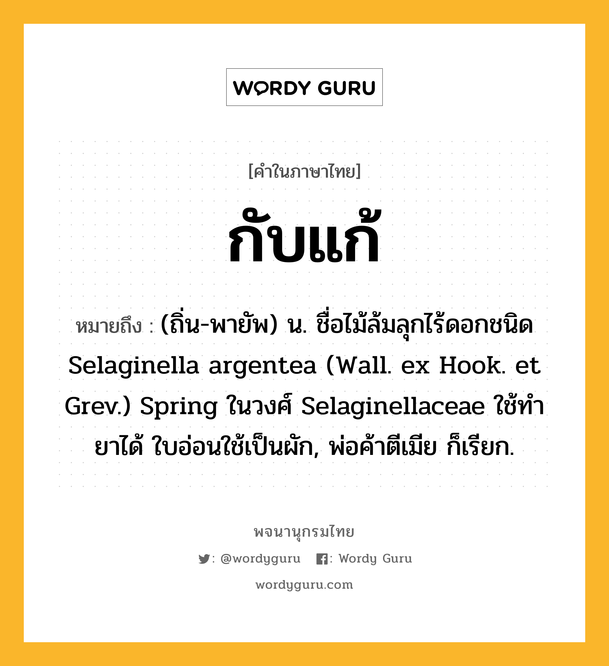 กับแก้ ความหมาย หมายถึงอะไร?, คำในภาษาไทย กับแก้ หมายถึง (ถิ่น-พายัพ) น. ชื่อไม้ล้มลุกไร้ดอกชนิด Selaginella argentea (Wall. ex Hook. et Grev.) Spring ในวงศ์ Selaginellaceae ใช้ทำยาได้ ใบอ่อนใช้เป็นผัก, พ่อค้าตีเมีย ก็เรียก.