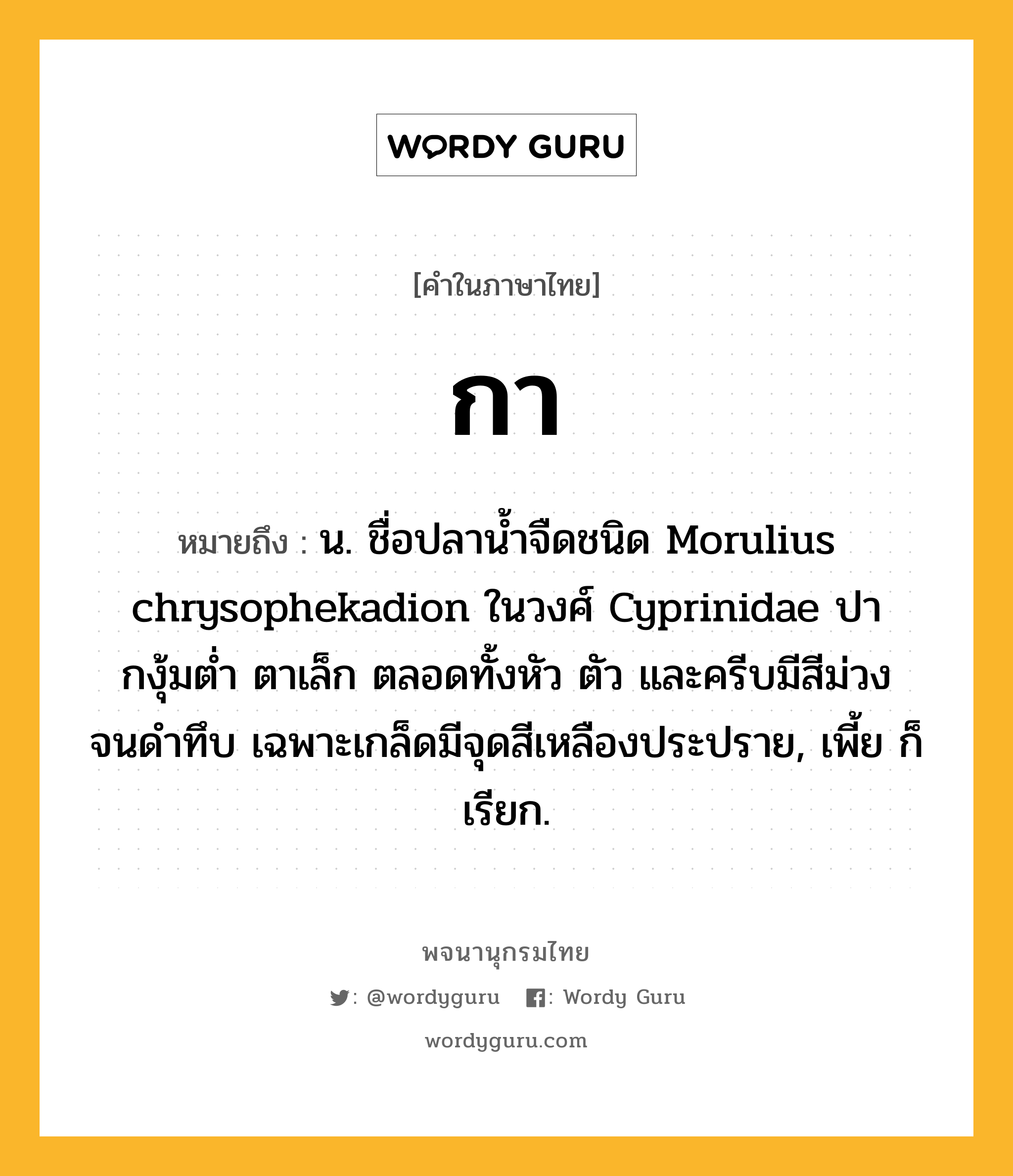 กา ความหมาย หมายถึงอะไร?, คำในภาษาไทย กา หมายถึง น. ชื่อปลานํ้าจืดชนิด Morulius chrysophekadion ในวงศ์ Cyprinidae ปากงุ้มตํ่า ตาเล็ก ตลอดทั้งหัว ตัว และครีบมีสีม่วงจนดําทึบ เฉพาะเกล็ดมีจุดสีเหลืองประปราย, เพี้ย ก็เรียก.