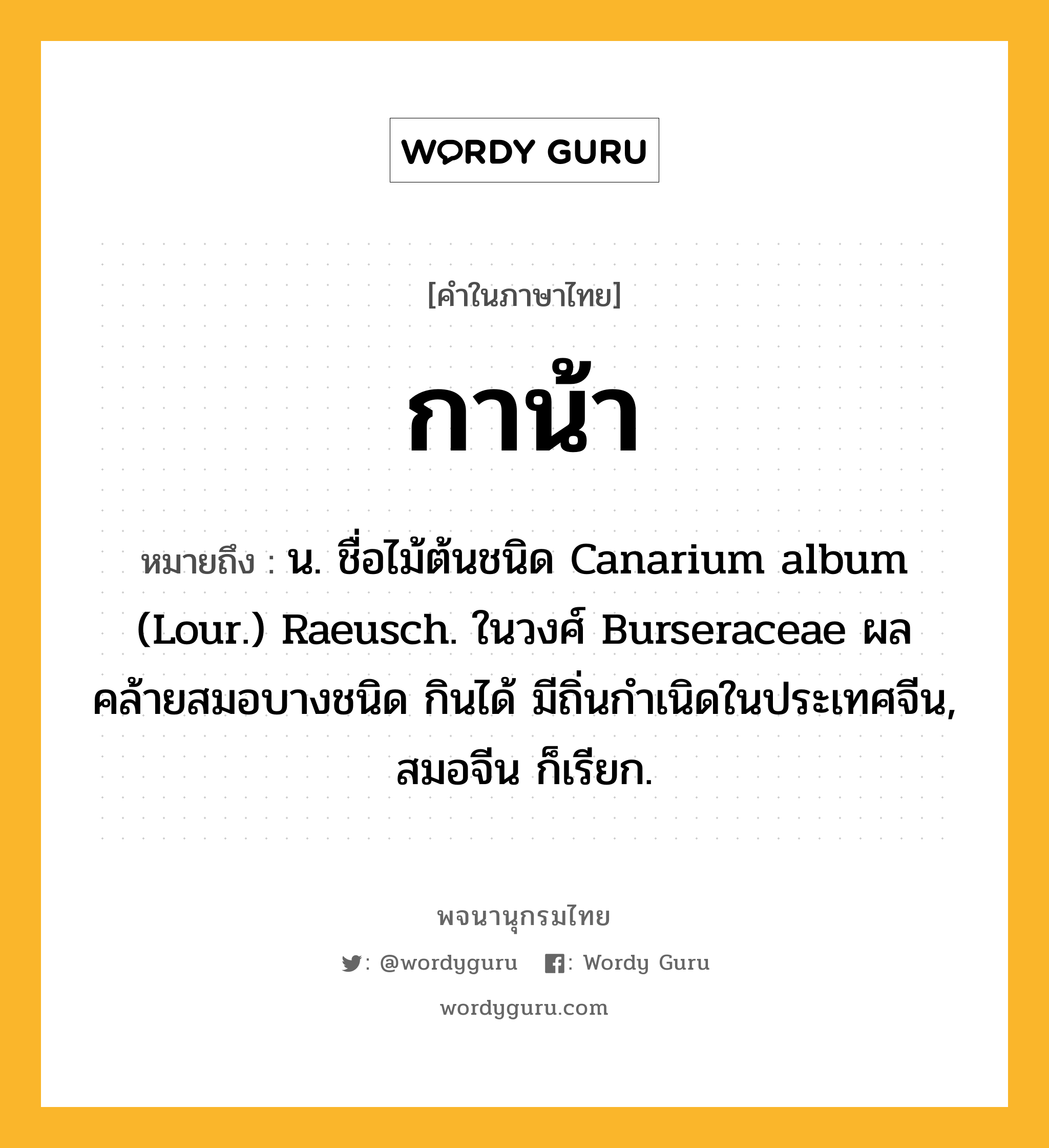 กาน้า ความหมาย หมายถึงอะไร?, คำในภาษาไทย กาน้า หมายถึง น. ชื่อไม้ต้นชนิด Canarium album (Lour.) Raeusch. ในวงศ์ Burseraceae ผลคล้ายสมอบางชนิด กินได้ มีถิ่นกําเนิดในประเทศจีน, สมอจีน ก็เรียก.