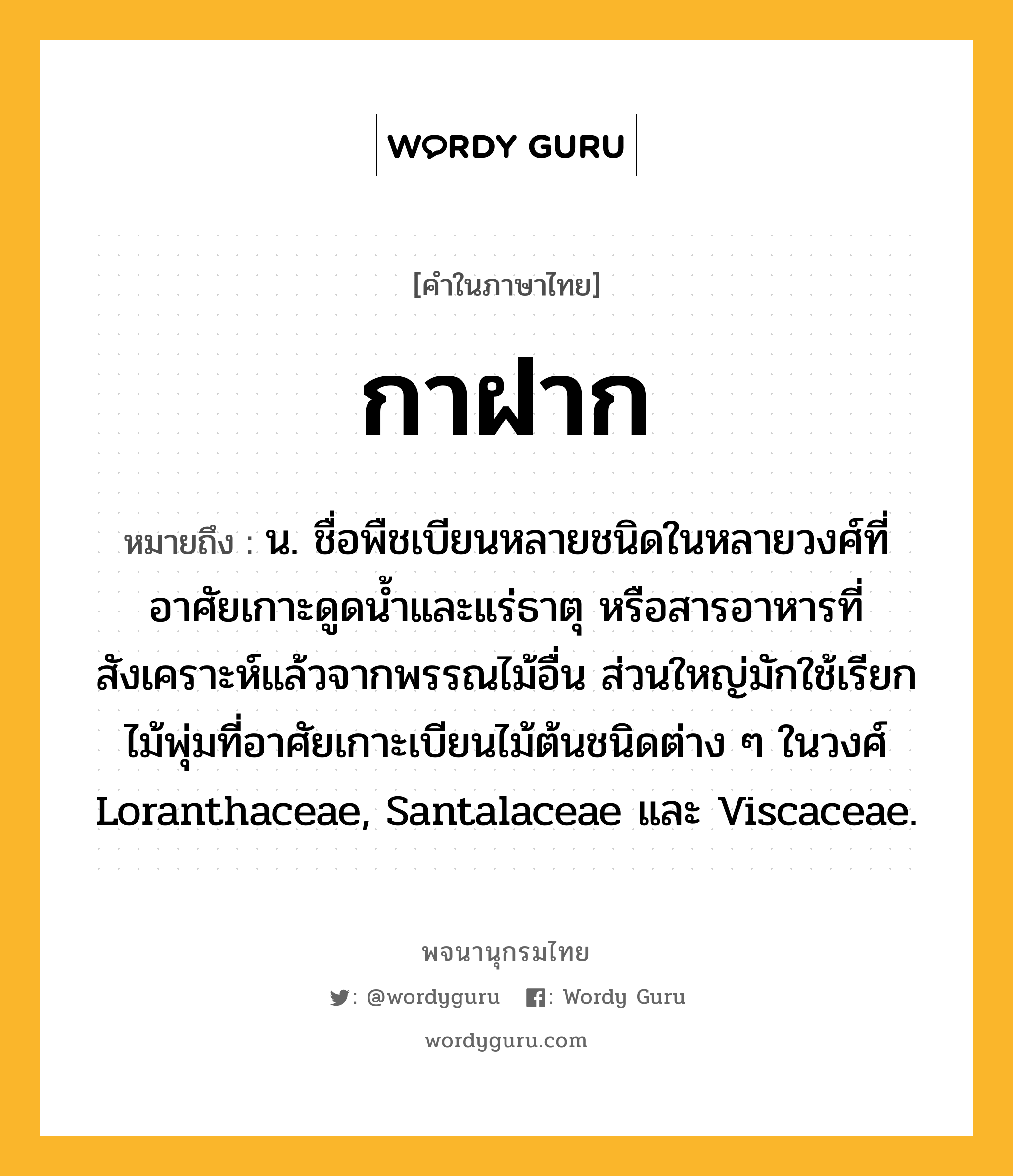 กาฝาก ความหมาย หมายถึงอะไร?, คำในภาษาไทย กาฝาก หมายถึง น. ชื่อพืชเบียนหลายชนิดในหลายวงศ์ที่อาศัยเกาะดูดนํ้าและแร่ธาตุ หรือสารอาหารที่สังเคราะห์แล้วจากพรรณไม้อื่น ส่วนใหญ่มักใช้เรียกไม้พุ่มที่อาศัยเกาะเบียนไม้ต้นชนิดต่าง ๆ ในวงศ์ Loranthaceae, Santalaceae และ Viscaceae.