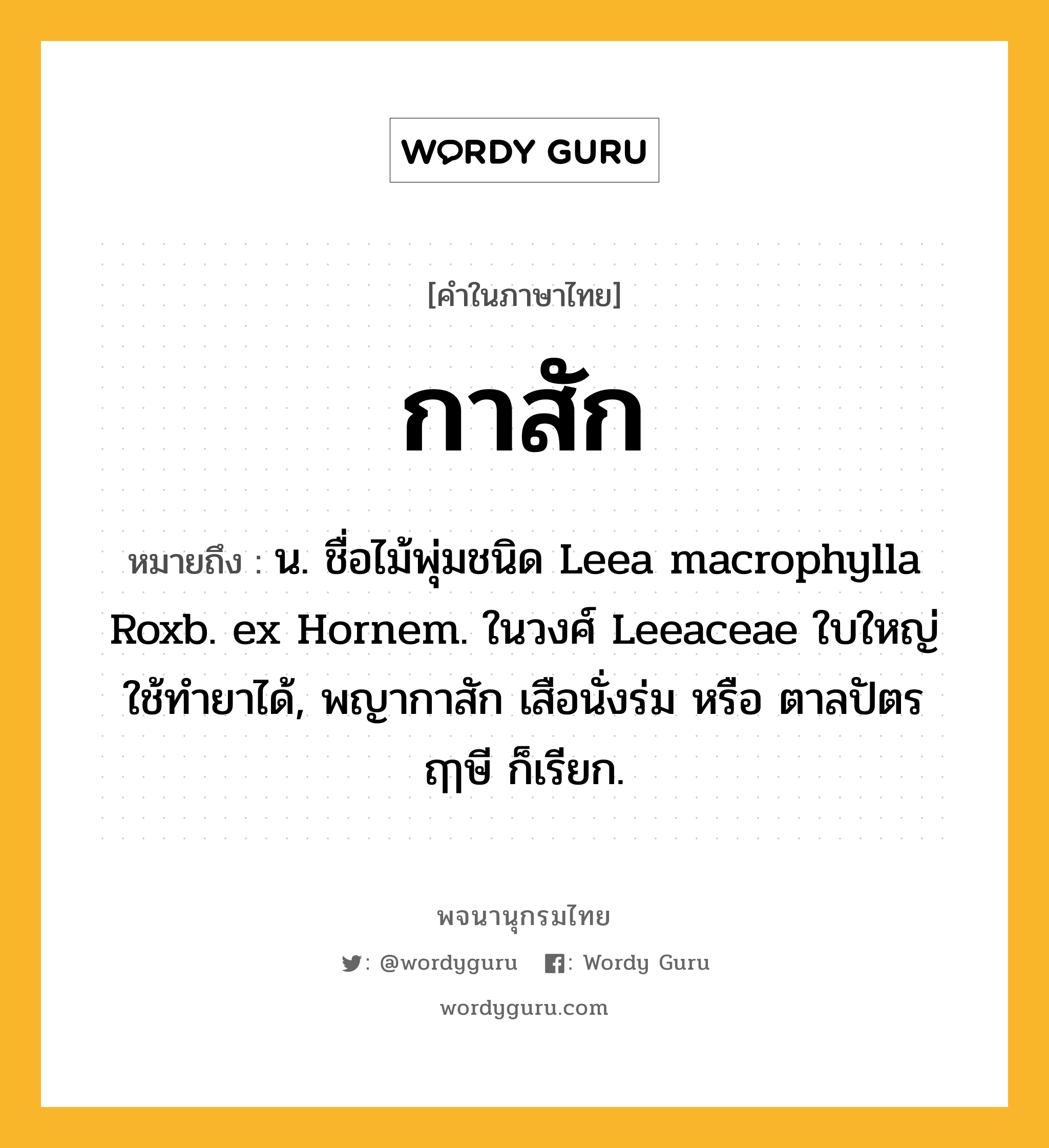 กาสัก ความหมาย หมายถึงอะไร?, คำในภาษาไทย กาสัก หมายถึง น. ชื่อไม้พุ่มชนิด Leea macrophylla Roxb. ex Hornem. ในวงศ์ Leeaceae ใบใหญ่ ใช้ทํายาได้, พญากาสัก เสือนั่งร่ม หรือ ตาลปัตรฤๅษี ก็เรียก.