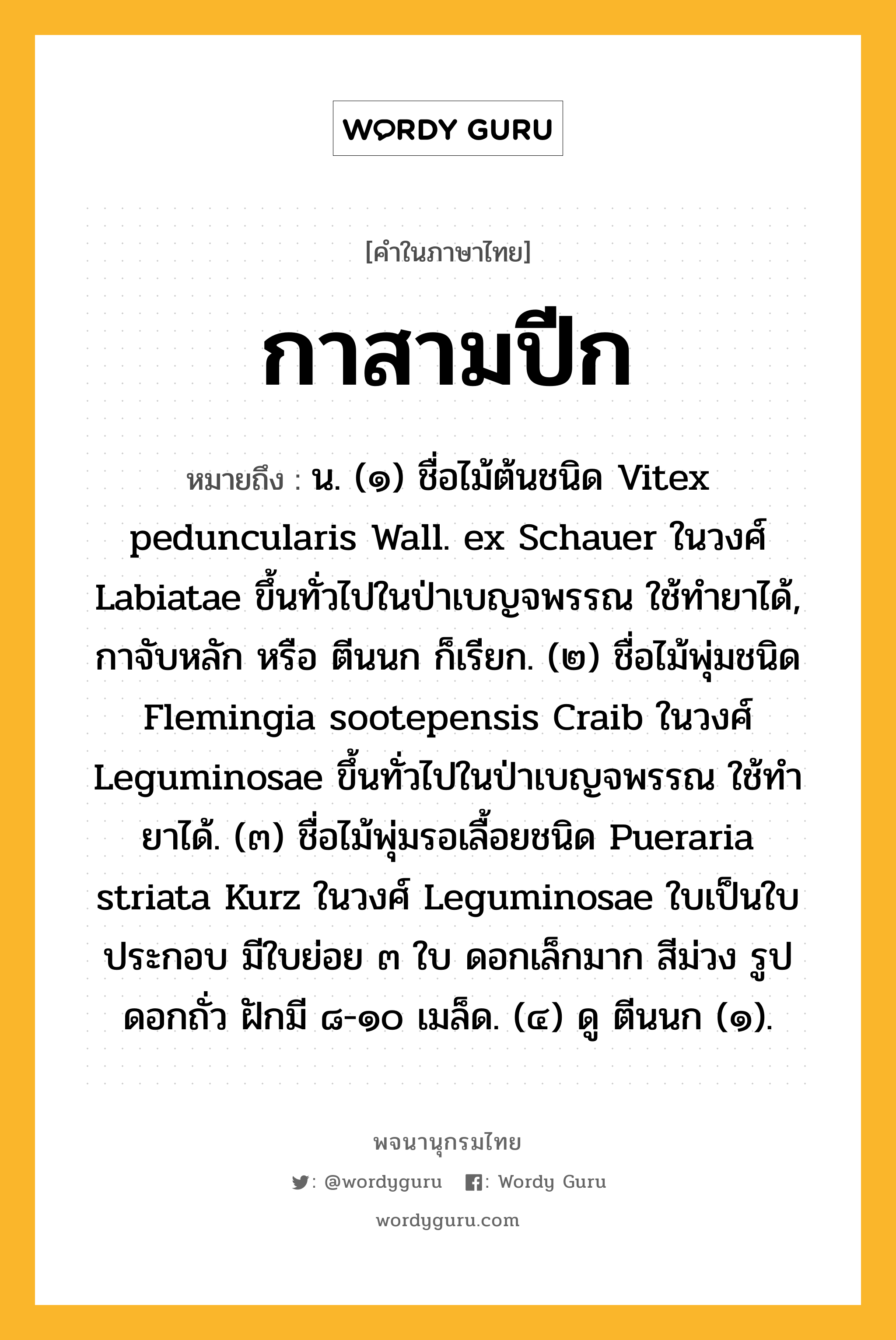 กาสามปีก ความหมาย หมายถึงอะไร?, คำในภาษาไทย กาสามปีก หมายถึง น. (๑) ชื่อไม้ต้นชนิด Vitex peduncularis Wall. ex Schauer ในวงศ์ Labiatae ขึ้นทั่วไปในป่าเบญจพรรณ ใช้ทํายาได้, กาจับหลัก หรือ ตีนนก ก็เรียก. (๒) ชื่อไม้พุ่มชนิด Flemingia sootepensis Craib ในวงศ์ Leguminosae ขึ้นทั่วไปในป่าเบญจพรรณ ใช้ทํายาได้. (๓) ชื่อไม้พุ่มรอเลื้อยชนิด Pueraria striata Kurz ในวงศ์ Leguminosae ใบเป็นใบประกอบ มีใบย่อย ๓ ใบ ดอกเล็กมาก สีม่วง รูปดอกถั่ว ฝักมี ๘-๑๐ เมล็ด. (๔) ดู ตีนนก (๑).