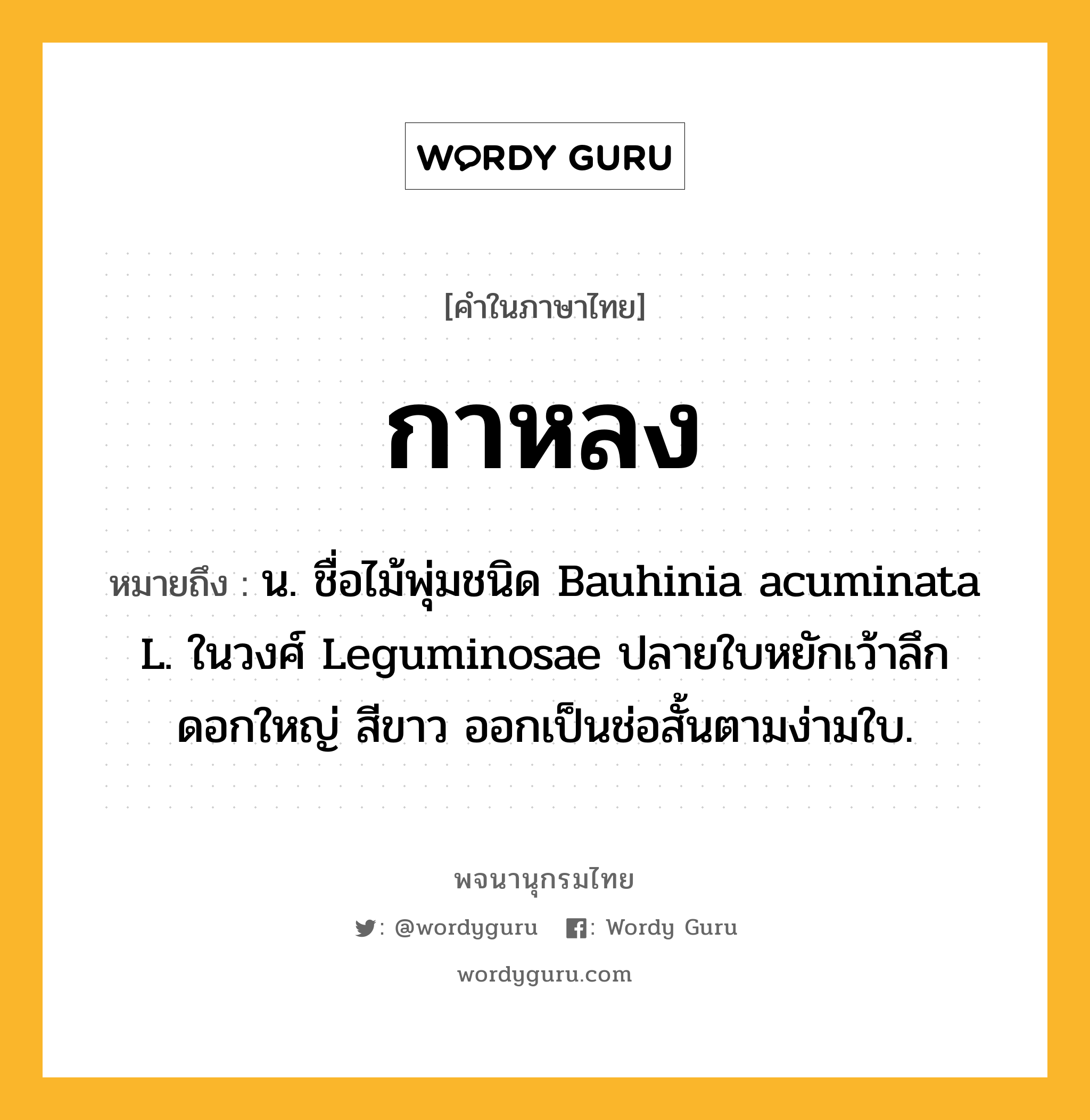 กาหลง ความหมาย หมายถึงอะไร?, คำในภาษาไทย กาหลง หมายถึง น. ชื่อไม้พุ่มชนิด Bauhinia acuminata L. ในวงศ์ Leguminosae ปลายใบหยักเว้าลึก ดอกใหญ่ สีขาว ออกเป็นช่อสั้นตามง่ามใบ.