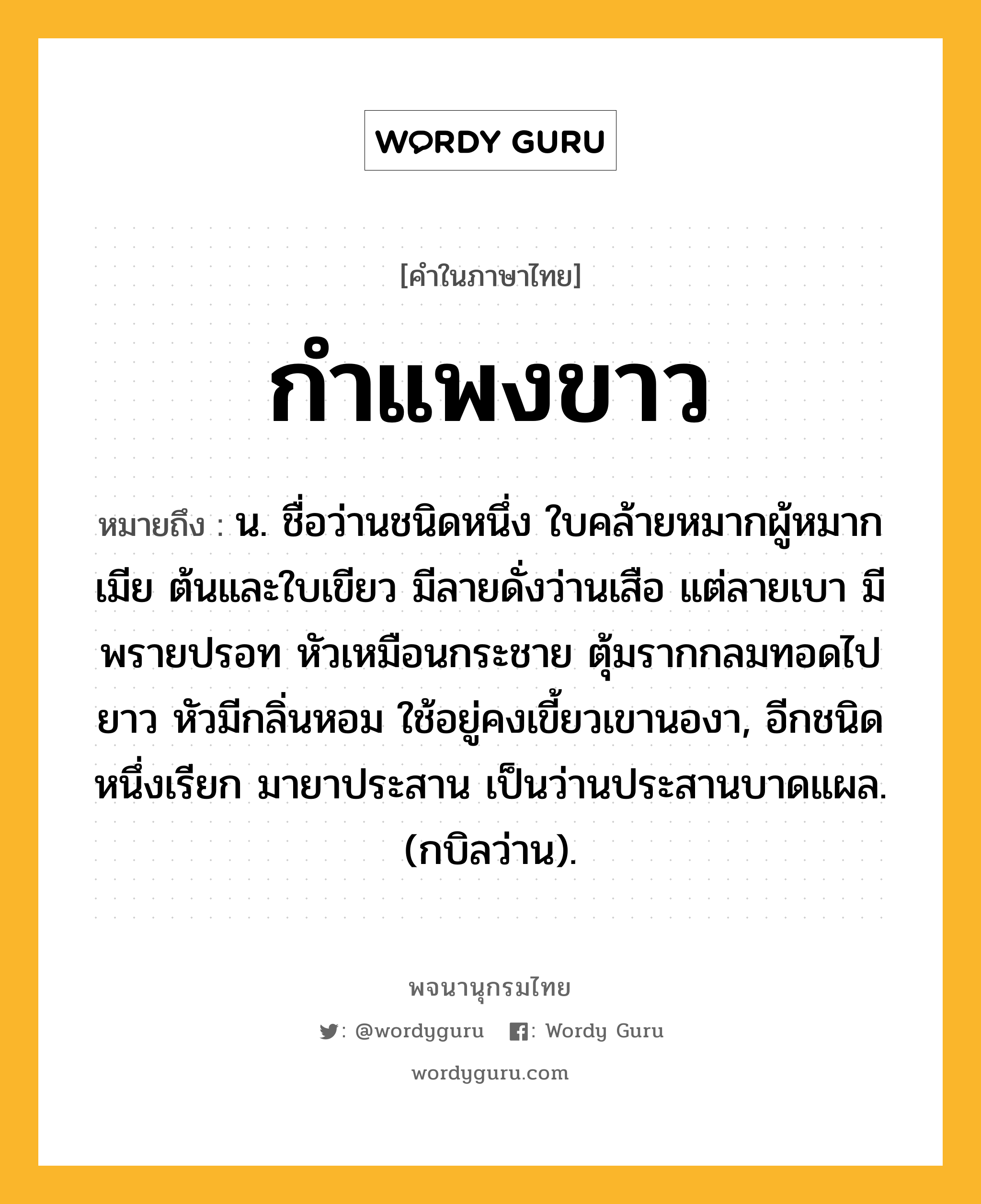 กำแพงขาว ความหมาย หมายถึงอะไร?, คำในภาษาไทย กำแพงขาว หมายถึง น. ชื่อว่านชนิดหนึ่ง ใบคล้ายหมากผู้หมากเมีย ต้นและใบเขียว มีลายดั่งว่านเสือ แต่ลายเบา มีพรายปรอท หัวเหมือนกระชาย ตุ้มรากกลมทอดไปยาว หัวมีกลิ่นหอม ใช้อยู่คงเขี้ยวเขานองา, อีกชนิดหนึ่งเรียก มายาประสาน เป็นว่านประสานบาดแผล. (กบิลว่าน).