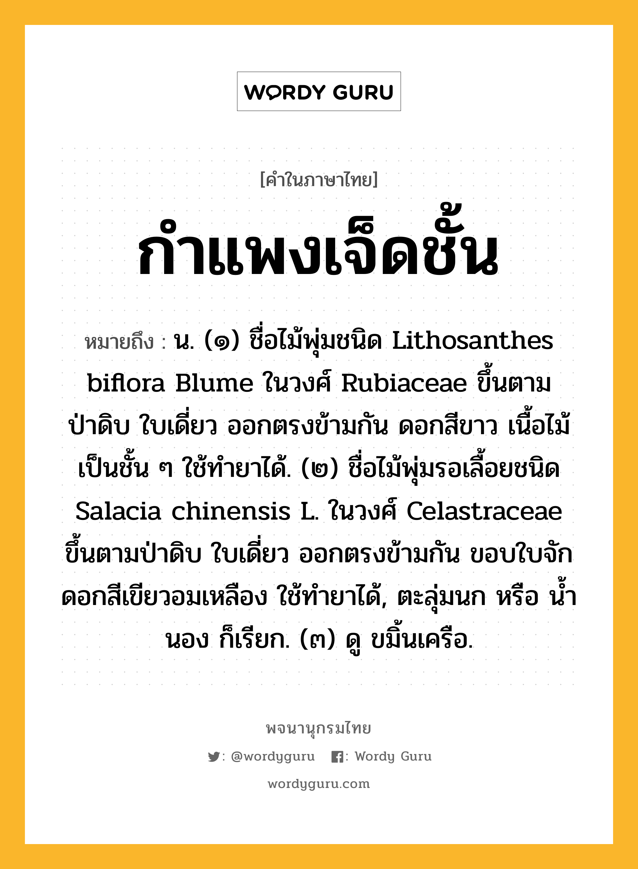 กำแพงเจ็ดชั้น ความหมาย หมายถึงอะไร?, คำในภาษาไทย กำแพงเจ็ดชั้น หมายถึง น. (๑) ชื่อไม้พุ่มชนิด Lithosanthes biflora Blume ในวงศ์ Rubiaceae ขึ้นตามป่าดิบ ใบเดี่ยว ออกตรงข้ามกัน ดอกสีขาว เนื้อไม้เป็นชั้น ๆ ใช้ทํายาได้. (๒) ชื่อไม้พุ่มรอเลื้อยชนิด Salacia chinensis L. ในวงศ์ Celastraceae ขึ้นตามป่าดิบ ใบเดี่ยว ออกตรงข้ามกัน ขอบใบจัก ดอกสีเขียวอมเหลือง ใช้ทํายาได้, ตะลุ่มนก หรือ นํ้านอง ก็เรียก. (๓) ดู ขมิ้นเครือ.