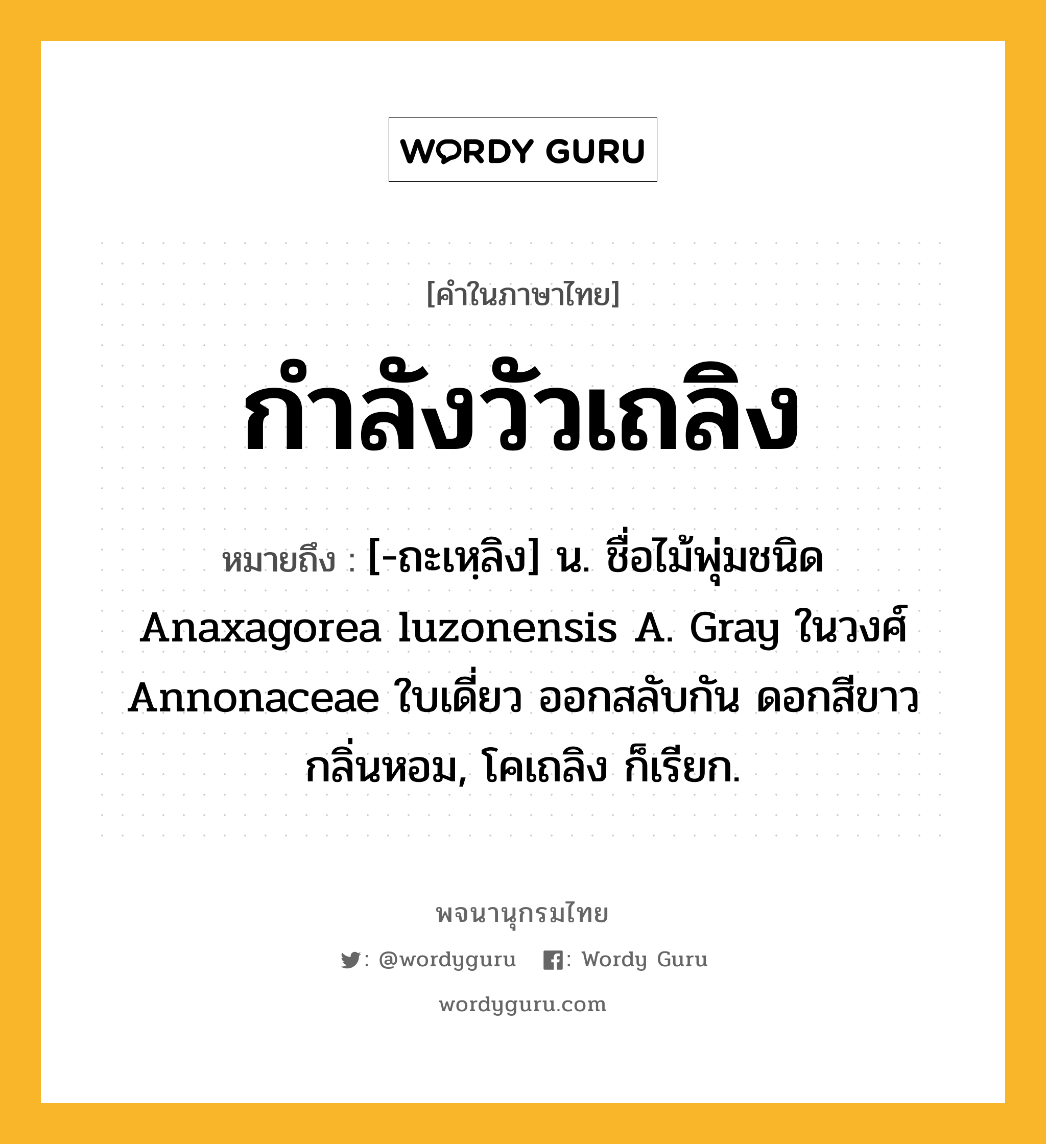 กำลังวัวเถลิง ความหมาย หมายถึงอะไร?, คำในภาษาไทย กำลังวัวเถลิง หมายถึง [-ถะเหฺลิง] น. ชื่อไม้พุ่มชนิด Anaxagorea luzonensis A. Gray ในวงศ์ Annonaceae ใบเดี่ยว ออกสลับกัน ดอกสีขาวกลิ่นหอม, โคเถลิง ก็เรียก.