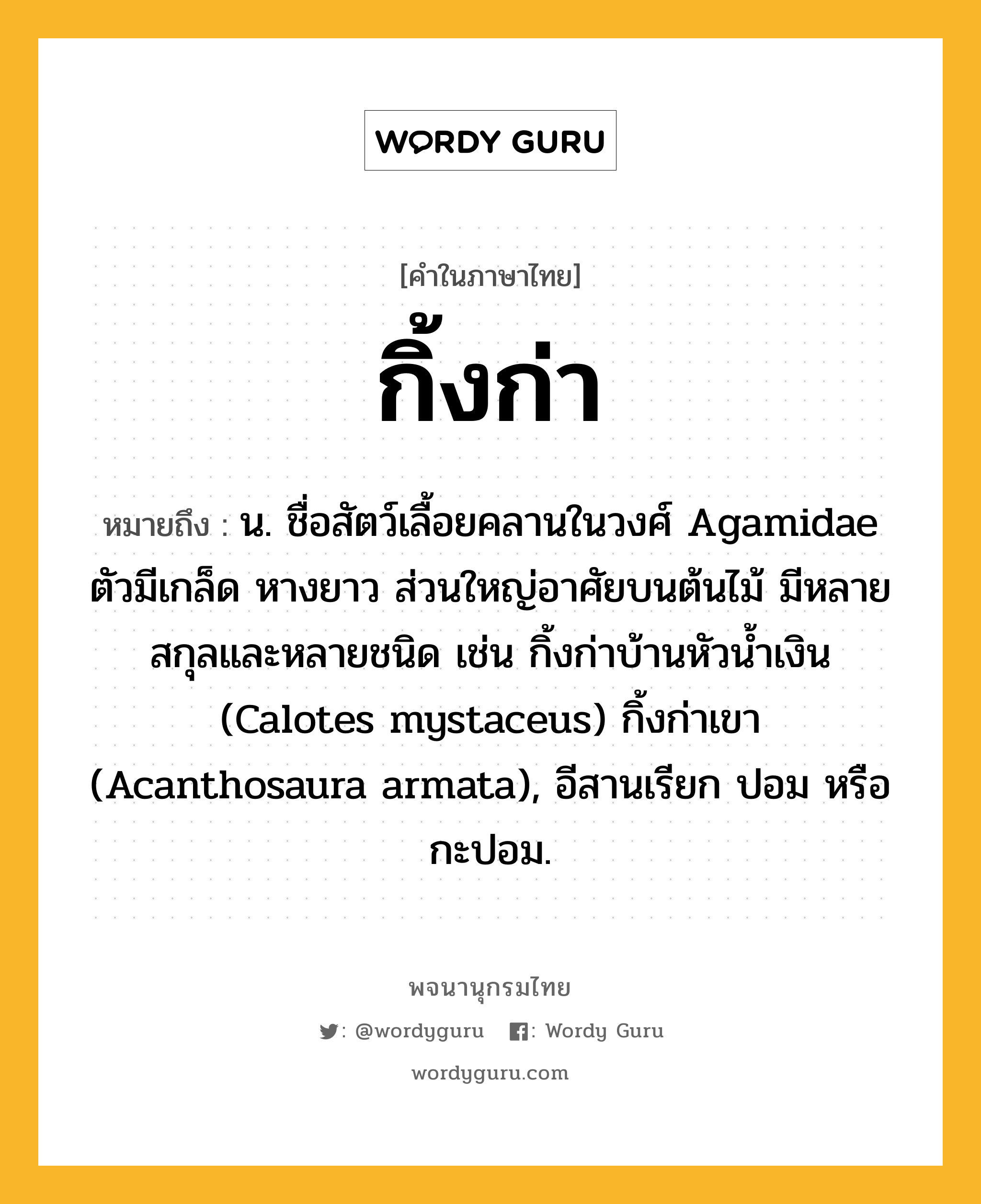 กิ้งก่า ความหมาย หมายถึงอะไร?, คำในภาษาไทย กิ้งก่า หมายถึง น. ชื่อสัตว์เลื้อยคลานในวงศ์ Agamidae ตัวมีเกล็ด หางยาว ส่วนใหญ่อาศัยบนต้นไม้ มีหลายสกุลและหลายชนิด เช่น กิ้งก่าบ้านหัวนํ้าเงิน (Calotes mystaceus) กิ้งก่าเขา (Acanthosaura armata), อีสานเรียก ปอม หรือ กะปอม.