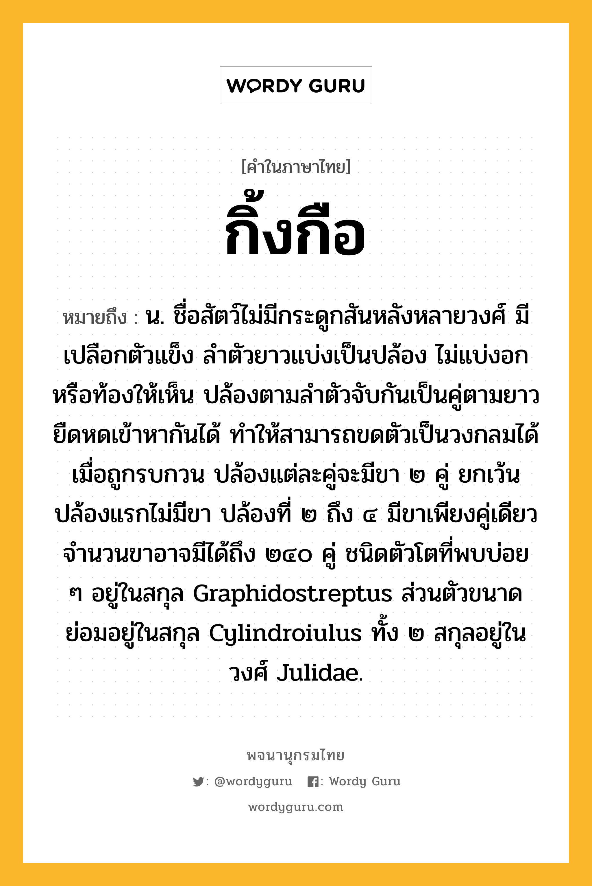 กิ้งกือ ความหมาย หมายถึงอะไร?, คำในภาษาไทย กิ้งกือ หมายถึง น. ชื่อสัตว์ไม่มีกระดูกสันหลังหลายวงศ์ มีเปลือกตัวแข็ง ลําตัวยาวแบ่งเป็นปล้อง ไม่แบ่งอกหรือท้องให้เห็น ปล้องตามลําตัวจับกันเป็นคู่ตามยาวยืดหดเข้าหากันได้ ทําให้สามารถขดตัวเป็นวงกลมได้เมื่อถูกรบกวน ปล้องแต่ละคู่จะมีขา ๒ คู่ ยกเว้นปล้องแรกไม่มีขา ปล้องที่ ๒ ถึง ๔ มีขาเพียงคู่เดียว จํานวนขาอาจมีได้ถึง ๒๔๐ คู่ ชนิดตัวโตที่พบบ่อย ๆ อยู่ในสกุล Graphidostreptus ส่วนตัวขนาดย่อมอยู่ในสกุล Cylindroiulus ทั้ง ๒ สกุลอยู่ในวงศ์ Julidae.