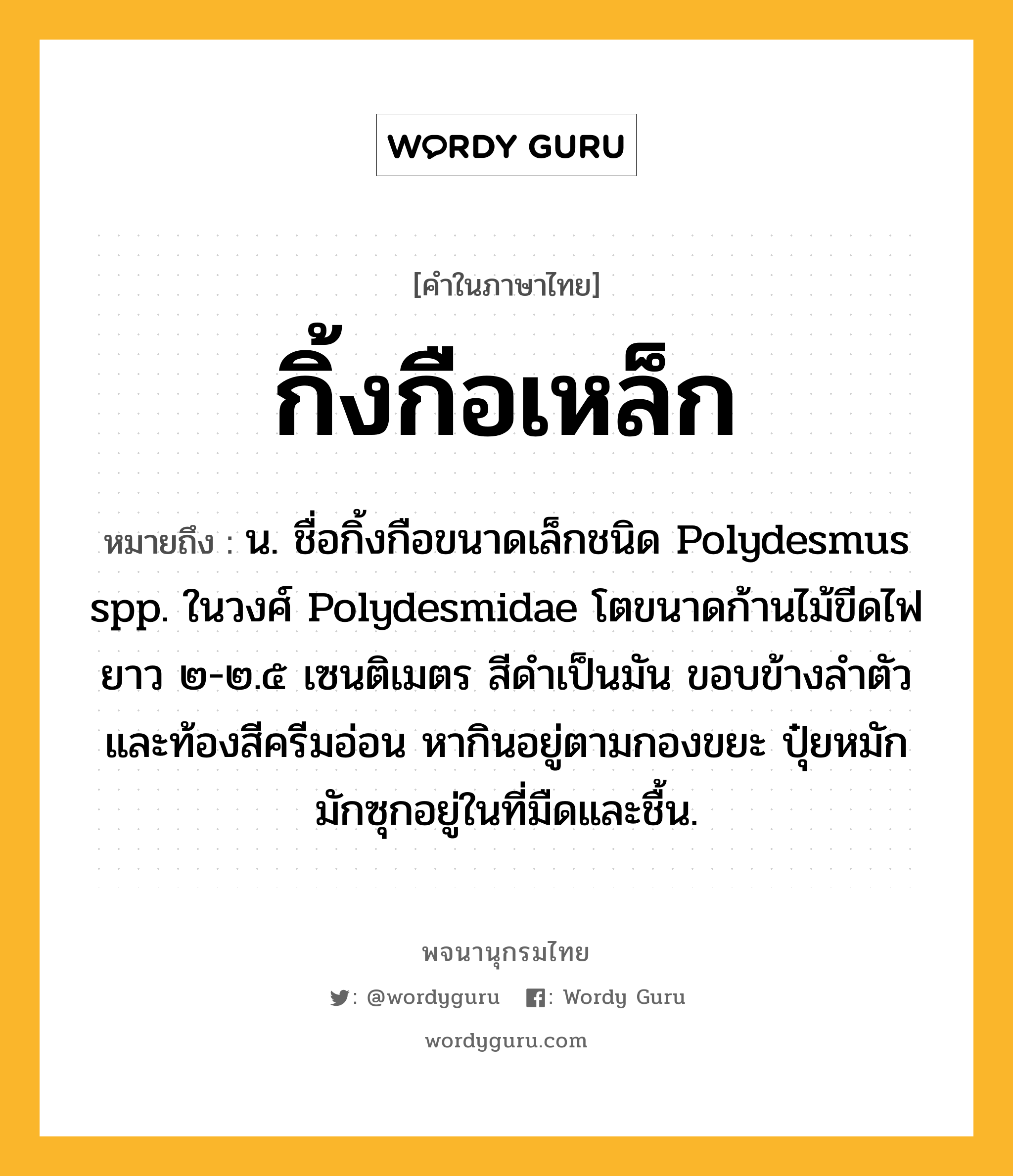 กิ้งกือเหล็ก ความหมาย หมายถึงอะไร?, คำในภาษาไทย กิ้งกือเหล็ก หมายถึง น. ชื่อกิ้งกือขนาดเล็กชนิด Polydesmus spp. ในวงศ์ Polydesmidae โตขนาดก้านไม้ขีดไฟ ยาว ๒-๒.๕ เซนติเมตร สีดําเป็นมัน ขอบข้างลําตัวและท้องสีครีมอ่อน หากินอยู่ตามกองขยะ ปุ๋ยหมัก มักซุกอยู่ในที่มืดและชื้น.