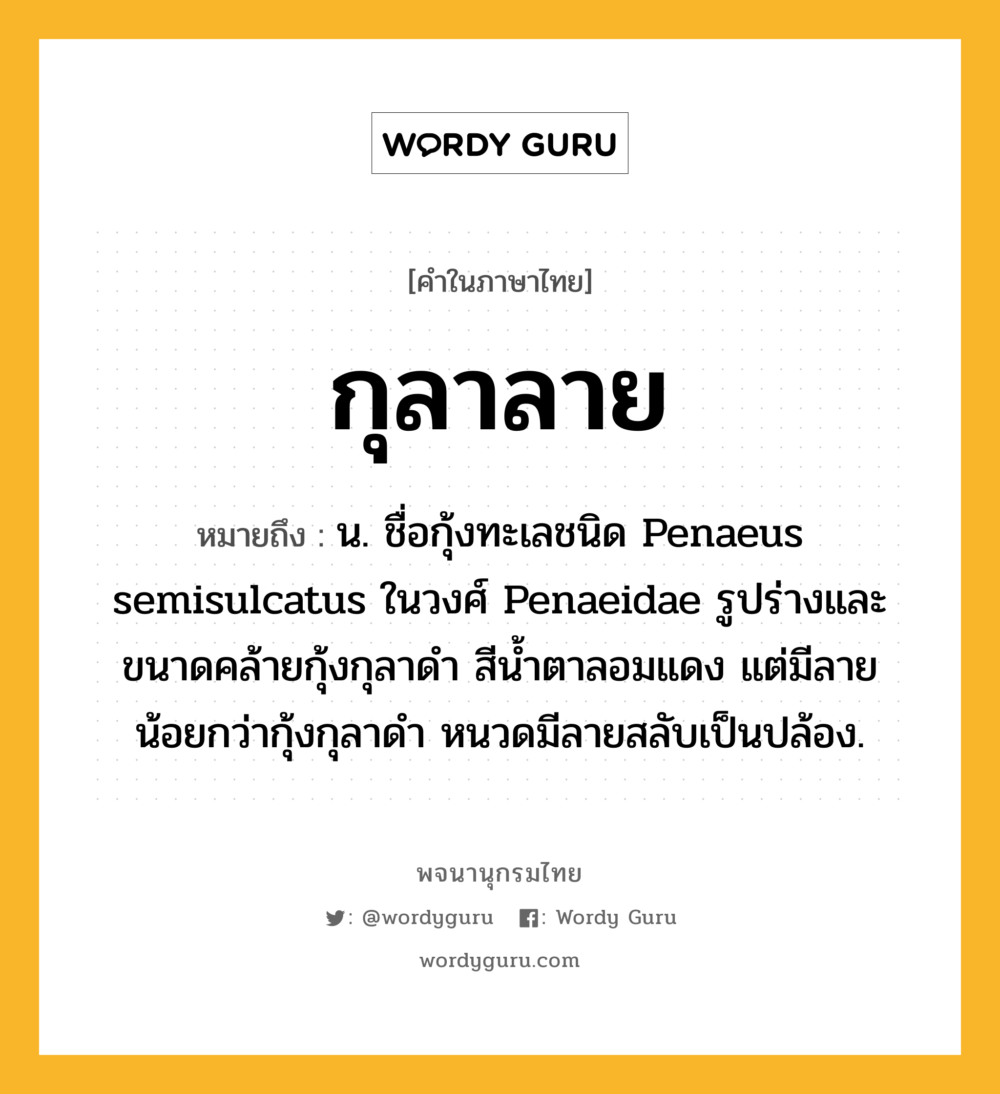 กุลาลาย ความหมาย หมายถึงอะไร?, คำในภาษาไทย กุลาลาย หมายถึง น. ชื่อกุ้งทะเลชนิด Penaeus semisulcatus ในวงศ์ Penaeidae รูปร่างและขนาดคล้ายกุ้งกุลาดํา สีน้ำตาลอมแดง แต่มีลายน้อยกว่ากุ้งกุลาดำ หนวดมีลายสลับเป็นปล้อง.