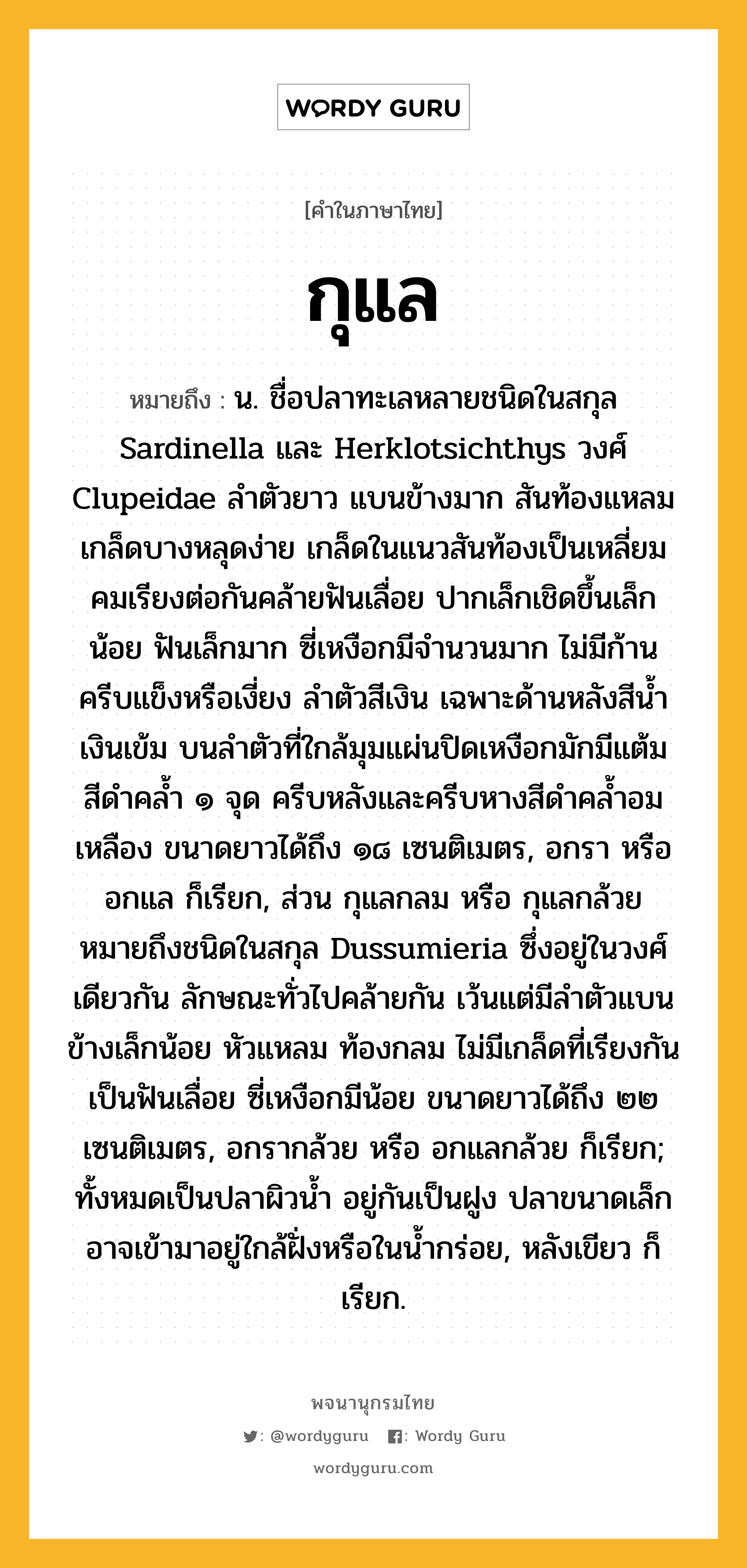 กุแล ความหมาย หมายถึงอะไร?, คำในภาษาไทย กุแล หมายถึง น. ชื่อปลาทะเลหลายชนิดในสกุล Sardinella และ Herklotsichthys วงศ์ Clupeidae ลําตัวยาว แบนข้างมาก สันท้องแหลม เกล็ดบางหลุดง่าย เกล็ดในแนวสันท้องเป็นเหลี่ยมคมเรียงต่อกันคล้ายฟันเลื่อย ปากเล็กเชิดขึ้นเล็กน้อย ฟันเล็กมาก ซี่เหงือกมีจํานวนมาก ไม่มีก้านครีบแข็งหรือเงี่ยง ลําตัวสีเงิน เฉพาะด้านหลังสีนํ้าเงินเข้ม บนลําตัวที่ใกล้มุมแผ่นปิดเหงือกมักมีแต้มสีดําคลํ้า ๑ จุด ครีบหลังและครีบหางสีดําคลํ้าอมเหลือง ขนาดยาวได้ถึง ๑๘ เซนติเมตร, อกรา หรือ อกแล ก็เรียก, ส่วน กุแลกลม หรือ กุแลกล้วย หมายถึงชนิดในสกุล Dussumieria ซึ่งอยู่ในวงศ์เดียวกัน ลักษณะทั่วไปคล้ายกัน เว้นแต่มีลําตัวแบนข้างเล็กน้อย หัวแหลม ท้องกลม ไม่มีเกล็ดที่เรียงกันเป็นฟันเลื่อย ซี่เหงือกมีน้อย ขนาดยาวได้ถึง ๒๒ เซนติเมตร, อกรากล้วย หรือ อกแลกล้วย ก็เรียก; ทั้งหมดเป็นปลาผิวนํ้า อยู่กันเป็นฝูง ปลาขนาดเล็กอาจเข้ามาอยู่ใกล้ฝั่งหรือในนํ้ากร่อย, หลังเขียว ก็เรียก.