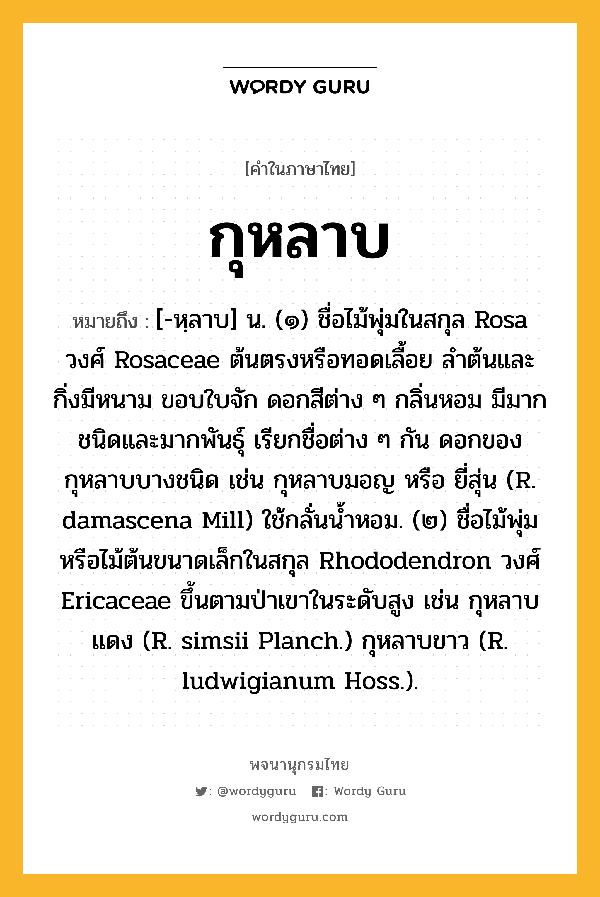 กุหลาบ ความหมาย หมายถึงอะไร?, คำในภาษาไทย กุหลาบ หมายถึง [-หฺลาบ] น. (๑) ชื่อไม้พุ่มในสกุล Rosa วงศ์ Rosaceae ต้นตรงหรือทอดเลื้อย ลําต้นและกิ่งมีหนาม ขอบใบจัก ดอกสีต่าง ๆ กลิ่นหอม มีมากชนิดและมากพันธุ์ เรียกชื่อต่าง ๆ กัน ดอกของกุหลาบบางชนิด เช่น กุหลาบมอญ หรือ ยี่สุ่น (R. damascena Mill) ใช้กลั่นนํ้าหอม. (๒) ชื่อไม้พุ่มหรือไม้ต้นขนาดเล็กในสกุล Rhododendron วงศ์ Ericaceae ขึ้นตามป่าเขาในระดับสูง เช่น กุหลาบแดง (R. simsii Planch.) กุหลาบขาว (R. ludwigianum Hoss.).