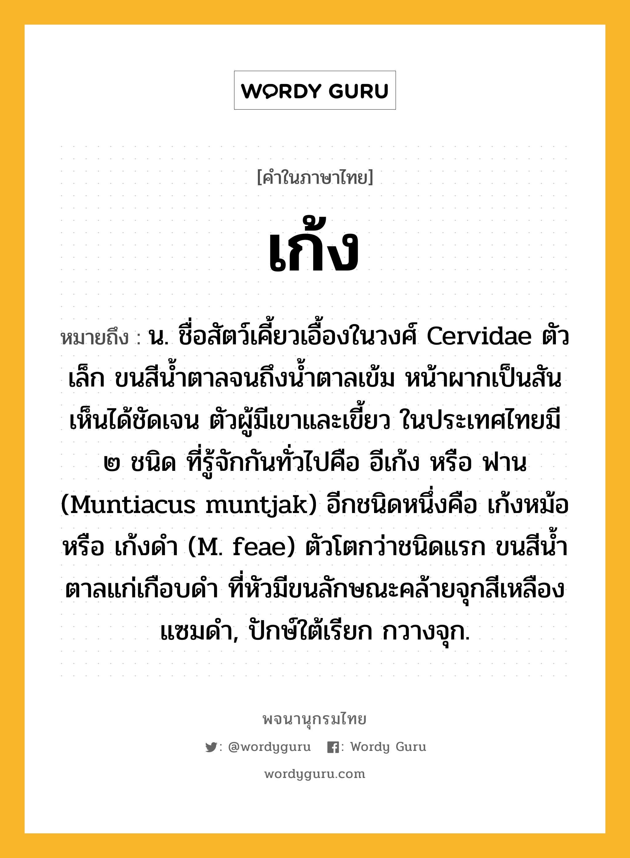 เก้ง ความหมาย หมายถึงอะไร?, คำในภาษาไทย เก้ง หมายถึง น. ชื่อสัตว์เคี้ยวเอื้องในวงศ์ Cervidae ตัวเล็ก ขนสีนํ้าตาลจนถึงนํ้าตาลเข้ม หน้าผากเป็นสันเห็นได้ชัดเจน ตัวผู้มีเขาและเขี้ยว ในประเทศไทยมี ๒ ชนิด ที่รู้จักกันทั่วไปคือ อีเก้ง หรือ ฟาน (Muntiacus muntjak) อีกชนิดหนึ่งคือ เก้งหม้อ หรือ เก้งดํา (M. feae) ตัวโตกว่าชนิดแรก ขนสีนํ้าตาลแก่เกือบดํา ที่หัวมีขนลักษณะคล้ายจุกสีเหลืองแซมดํา, ปักษ์ใต้เรียก กวางจุก.