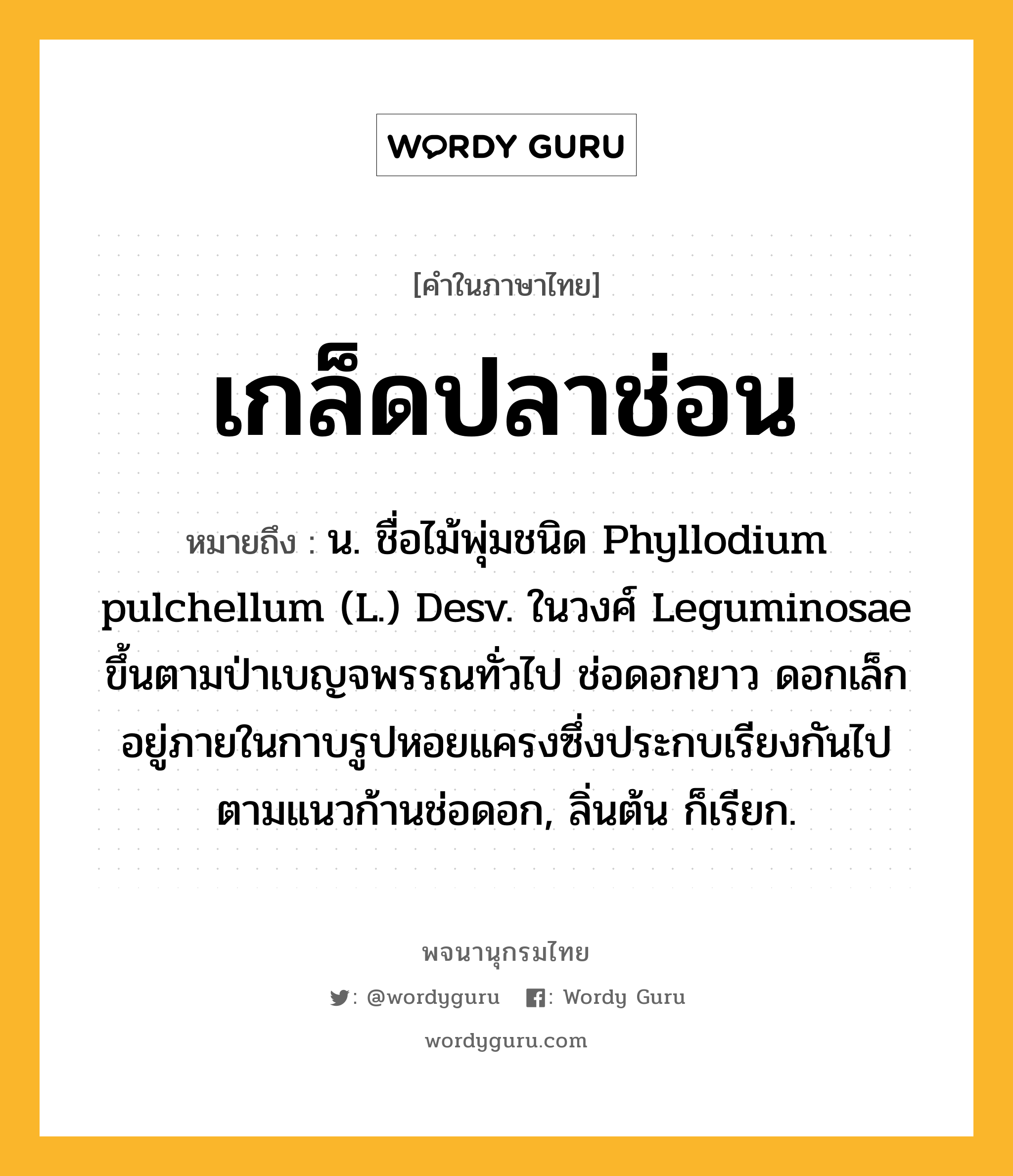 เกล็ดปลาช่อน ความหมาย หมายถึงอะไร?, คำในภาษาไทย เกล็ดปลาช่อน หมายถึง น. ชื่อไม้พุ่มชนิด Phyllodium pulchellum (L.) Desv. ในวงศ์ Leguminosae ขึ้นตามป่าเบญจพรรณทั่วไป ช่อดอกยาว ดอกเล็กอยู่ภายในกาบรูปหอยแครงซึ่งประกบเรียงกันไปตามแนวก้านช่อดอก, ลิ่นต้น ก็เรียก.