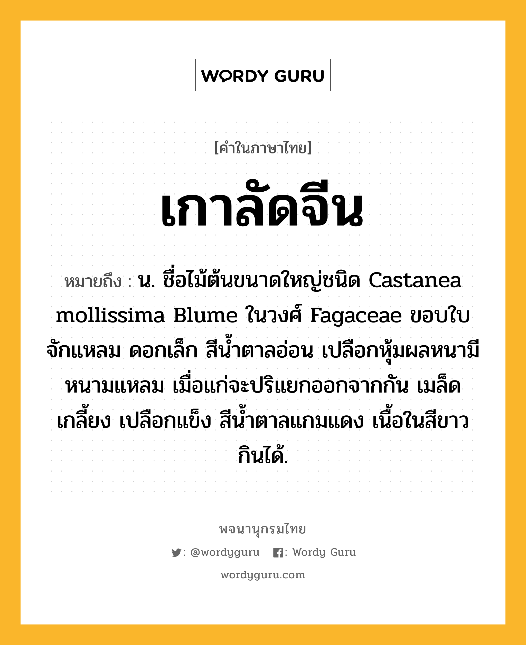 เกาลัดจีน ความหมาย หมายถึงอะไร?, คำในภาษาไทย เกาลัดจีน หมายถึง น. ชื่อไม้ต้นขนาดใหญ่ชนิด Castanea mollissima Blume ในวงศ์ Fagaceae ขอบใบจักแหลม ดอกเล็ก สีน้ำตาลอ่อน เปลือกหุ้มผลหนามีหนามแหลม เมื่อแก่จะปริแยกออกจากกัน เมล็ดเกลี้ยง เปลือกแข็ง สีนํ้าตาลแกมแดง เนื้อในสีขาว กินได้.