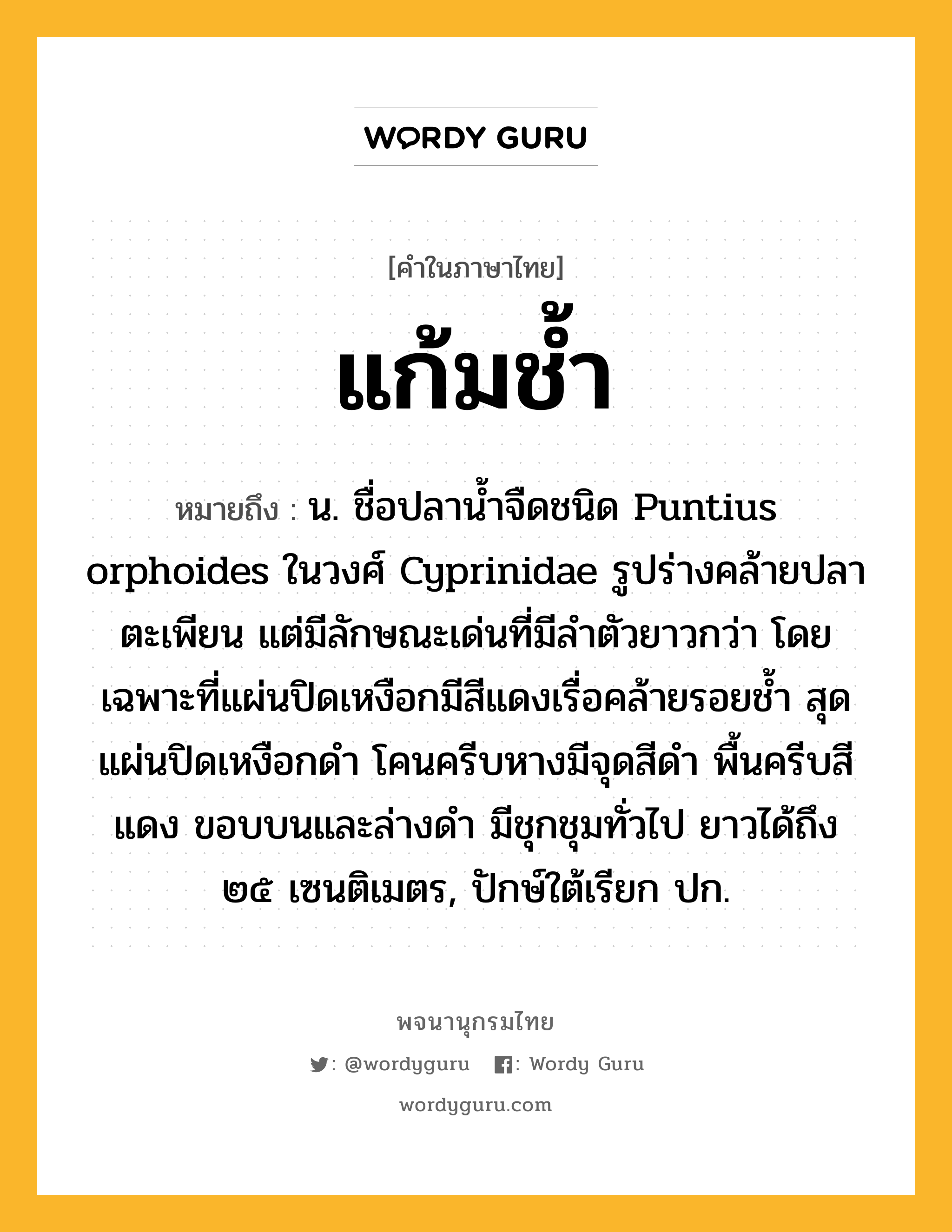 แก้มช้ำ ความหมาย หมายถึงอะไร?, คำในภาษาไทย แก้มช้ำ หมายถึง น. ชื่อปลานํ้าจืดชนิด Puntius orphoides ในวงศ์ Cyprinidae รูปร่างคล้ายปลาตะเพียน แต่มีลักษณะเด่นที่มีลําตัวยาวกว่า โดยเฉพาะที่แผ่นปิดเหงือกมีสีแดงเรื่อคล้ายรอยชํ้า สุดแผ่นปิดเหงือกดํา โคนครีบหางมีจุดสีดํา พื้นครีบสีแดง ขอบบนและล่างดํา มีชุกชุมทั่วไป ยาวได้ถึง ๒๕ เซนติเมตร, ปักษ์ใต้เรียก ปก.