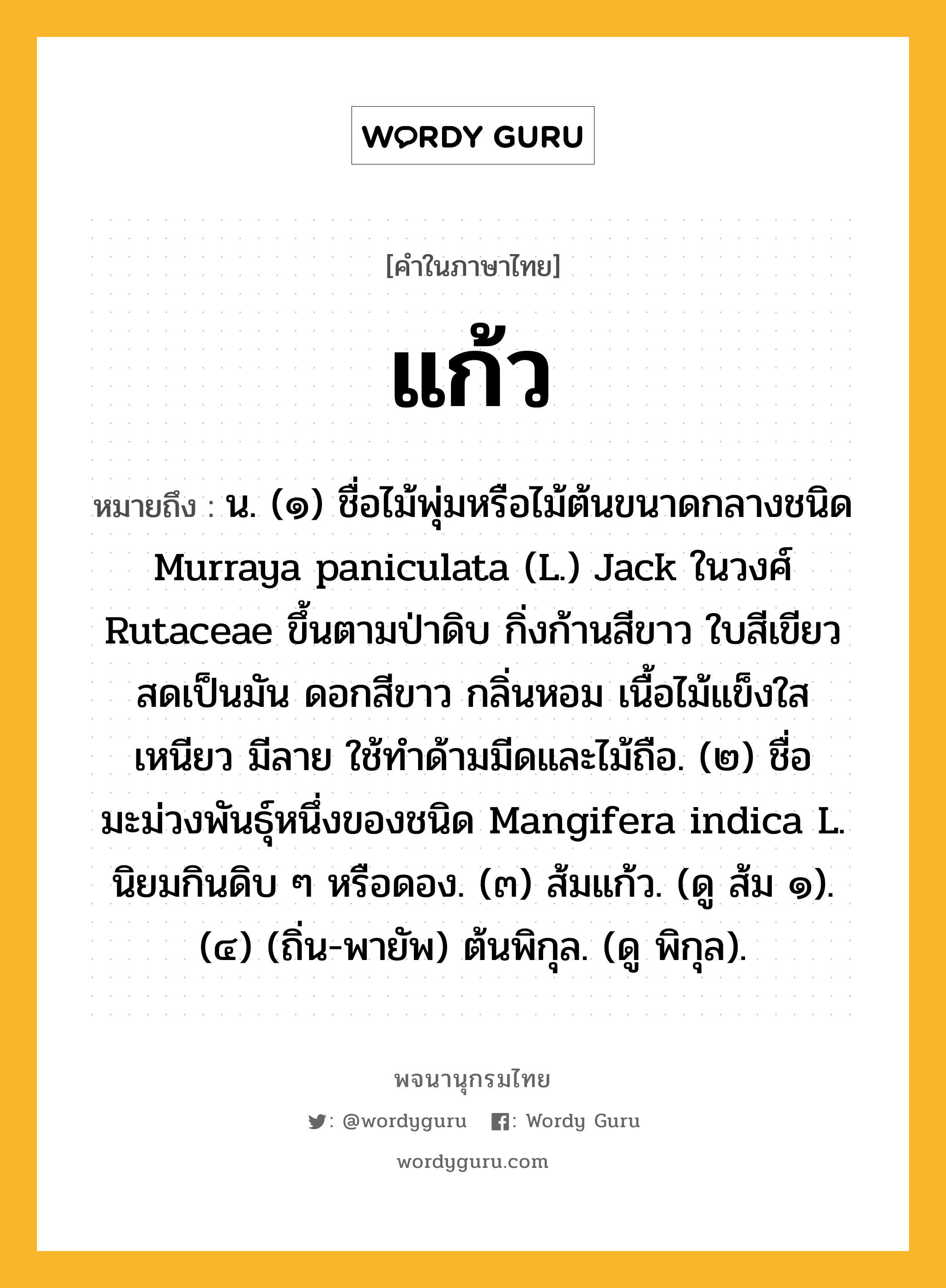 แก้ว ความหมาย หมายถึงอะไร?, คำในภาษาไทย แก้ว หมายถึง น. (๑) ชื่อไม้พุ่มหรือไม้ต้นขนาดกลางชนิด Murraya paniculata (L.) Jack ในวงศ์ Rutaceae ขึ้นตามป่าดิบ กิ่งก้านสีขาว ใบสีเขียวสดเป็นมัน ดอกสีขาว กลิ่นหอม เนื้อไม้แข็งใส เหนียว มีลาย ใช้ทําด้ามมีดและไม้ถือ. (๒) ชื่อมะม่วงพันธุ์หนึ่งของชนิด Mangifera indica L. นิยมกินดิบ ๆ หรือดอง. (๓) ส้มแก้ว. (ดู ส้ม ๑). (๔) (ถิ่น-พายัพ) ต้นพิกุล. (ดู พิกุล).