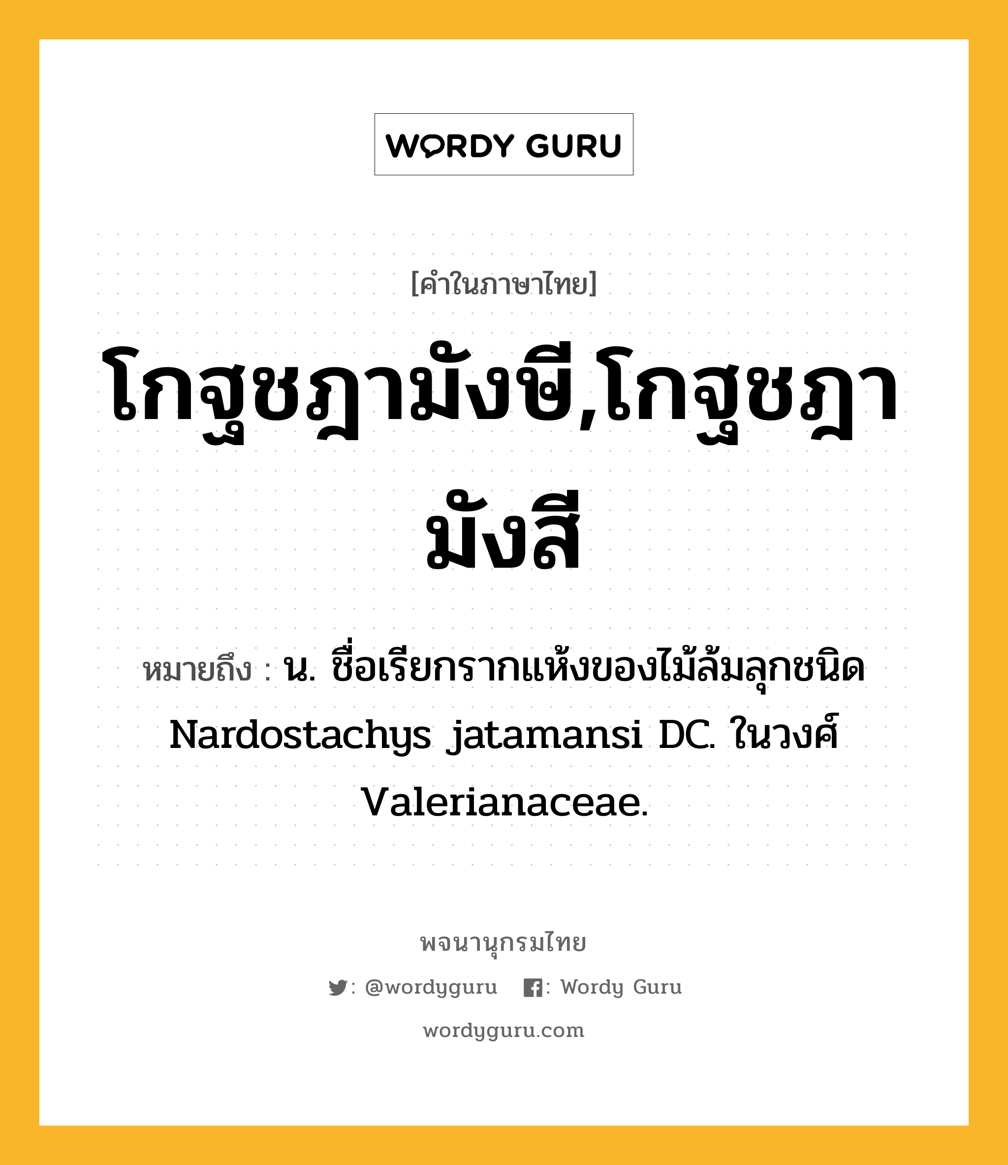 โกฐชฎามังษี,โกฐชฎามังสี ความหมาย หมายถึงอะไร?, คำในภาษาไทย โกฐชฎามังษี,โกฐชฎามังสี หมายถึง น. ชื่อเรียกรากแห้งของไม้ล้มลุกชนิด Nardostachys jatamansi DC. ในวงศ์ Valerianaceae.