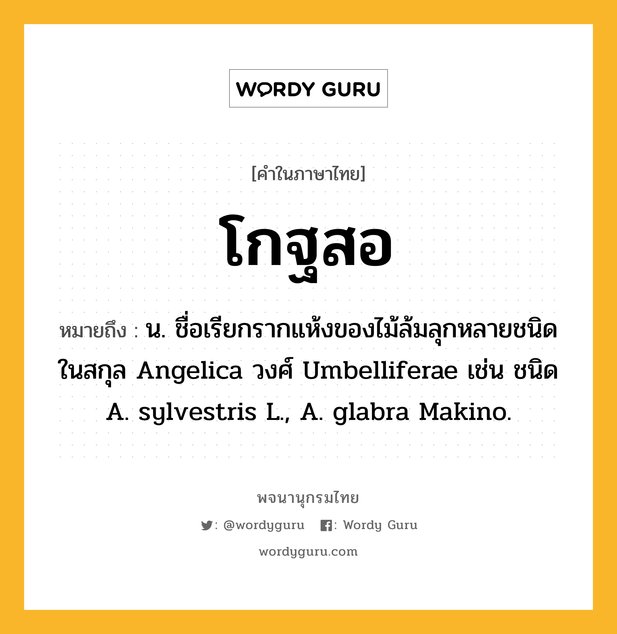 โกฐสอ ความหมาย หมายถึงอะไร?, คำในภาษาไทย โกฐสอ หมายถึง น. ชื่อเรียกรากแห้งของไม้ล้มลุกหลายชนิดในสกุล Angelica วงศ์ Umbelliferae เช่น ชนิด A. sylvestris L., A. glabra Makino.