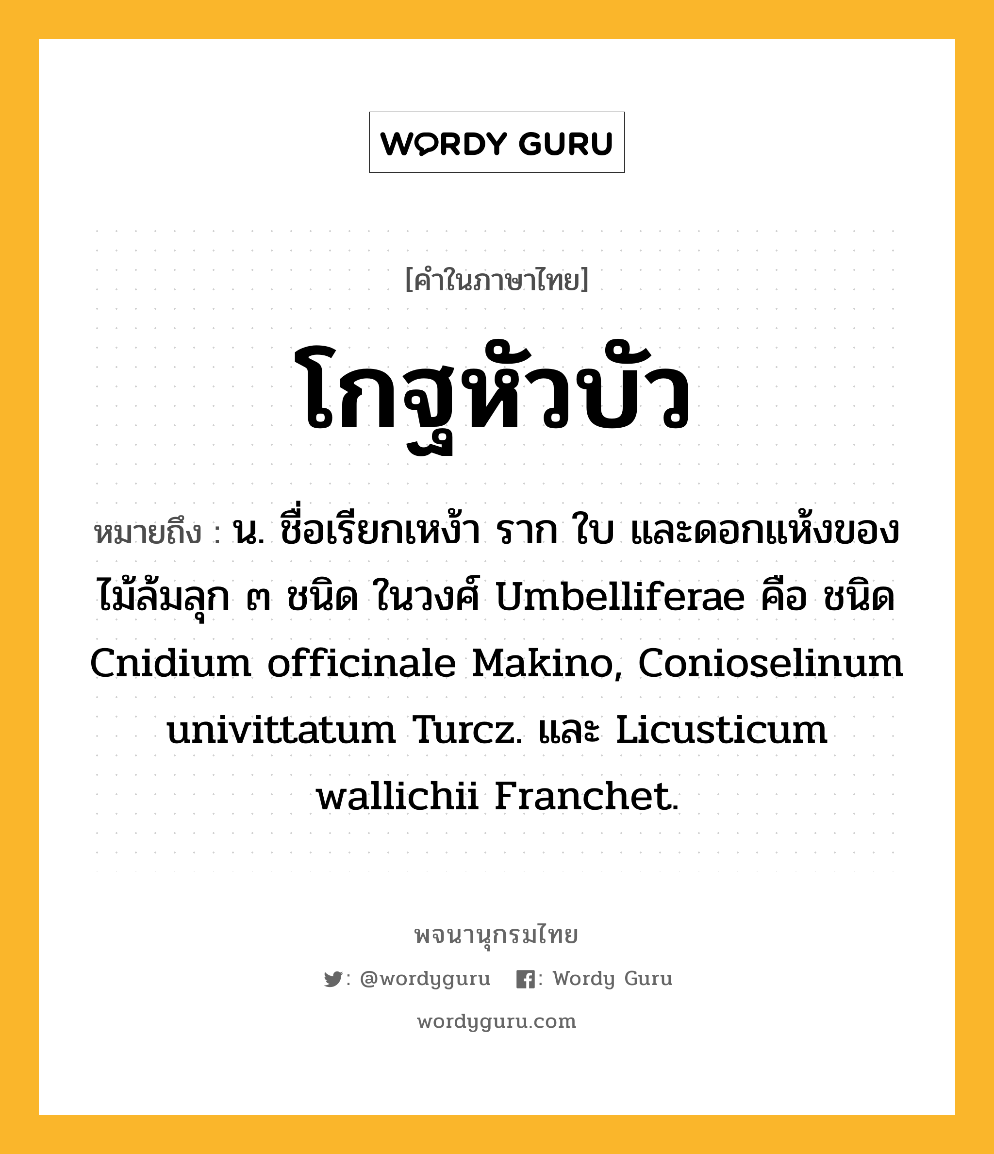 โกฐหัวบัว ความหมาย หมายถึงอะไร?, คำในภาษาไทย โกฐหัวบัว หมายถึง น. ชื่อเรียกเหง้า ราก ใบ และดอกแห้งของไม้ล้มลุก ๓ ชนิด ในวงศ์ Umbelliferae คือ ชนิด Cnidium officinale Makino, Conioselinum univittatum Turcz. และ Licusticum wallichii Franchet.