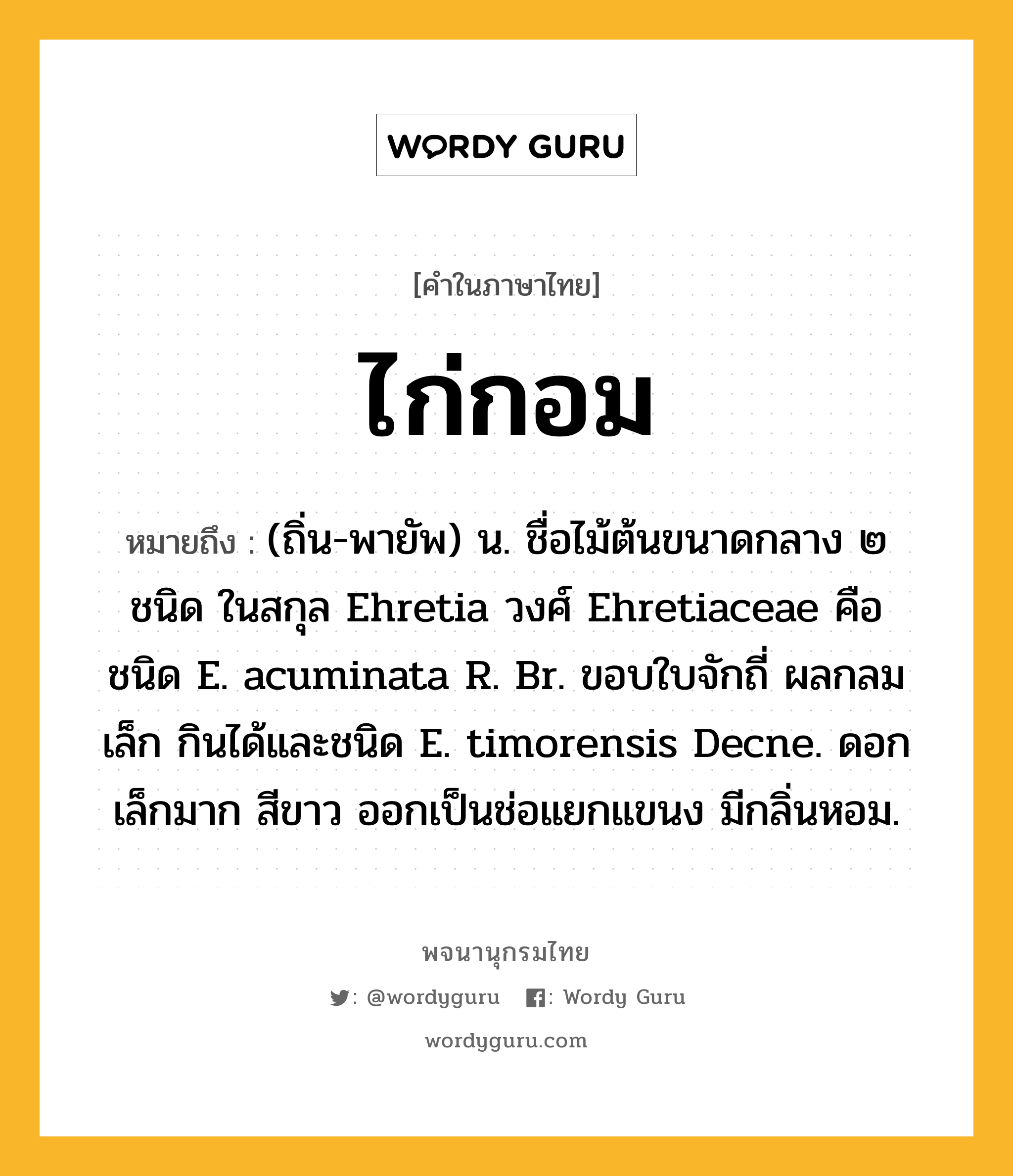 ไก่กอม ความหมาย หมายถึงอะไร?, คำในภาษาไทย ไก่กอม หมายถึง (ถิ่น-พายัพ) น. ชื่อไม้ต้นขนาดกลาง ๒ ชนิด ในสกุล Ehretia วงศ์ Ehretiaceae คือ ชนิด E. acuminata R. Br. ขอบใบจักถี่ ผลกลมเล็ก กินได้และชนิด E. timorensis Decne. ดอกเล็กมาก สีขาว ออกเป็นช่อแยกแขนง มีกลิ่นหอม.