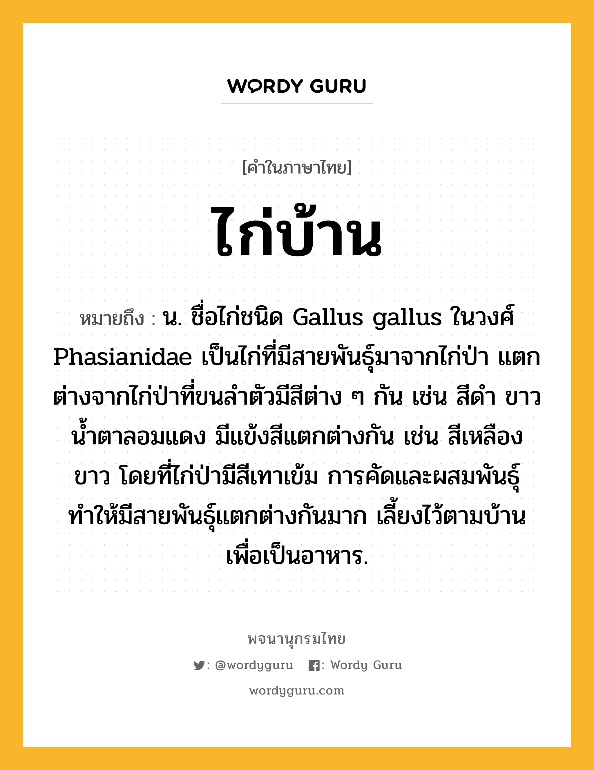 ไก่บ้าน ความหมาย หมายถึงอะไร?, คำในภาษาไทย ไก่บ้าน หมายถึง น. ชื่อไก่ชนิด Gallus gallus ในวงศ์ Phasianidae เป็นไก่ที่มีสายพันธุ์มาจากไก่ป่า แตกต่างจากไก่ป่าที่ขนลำตัวมีสีต่าง ๆ กัน เช่น สีดำ ขาว น้ำตาลอมแดง มีแข้งสีแตกต่างกัน เช่น สีเหลือง ขาว โดยที่ไก่ป่ามีสีเทาเข้ม การคัดและผสมพันธุ์ทำให้มีสายพันธุ์แตกต่างกันมาก เลี้ยงไว้ตามบ้านเพื่อเป็นอาหาร.