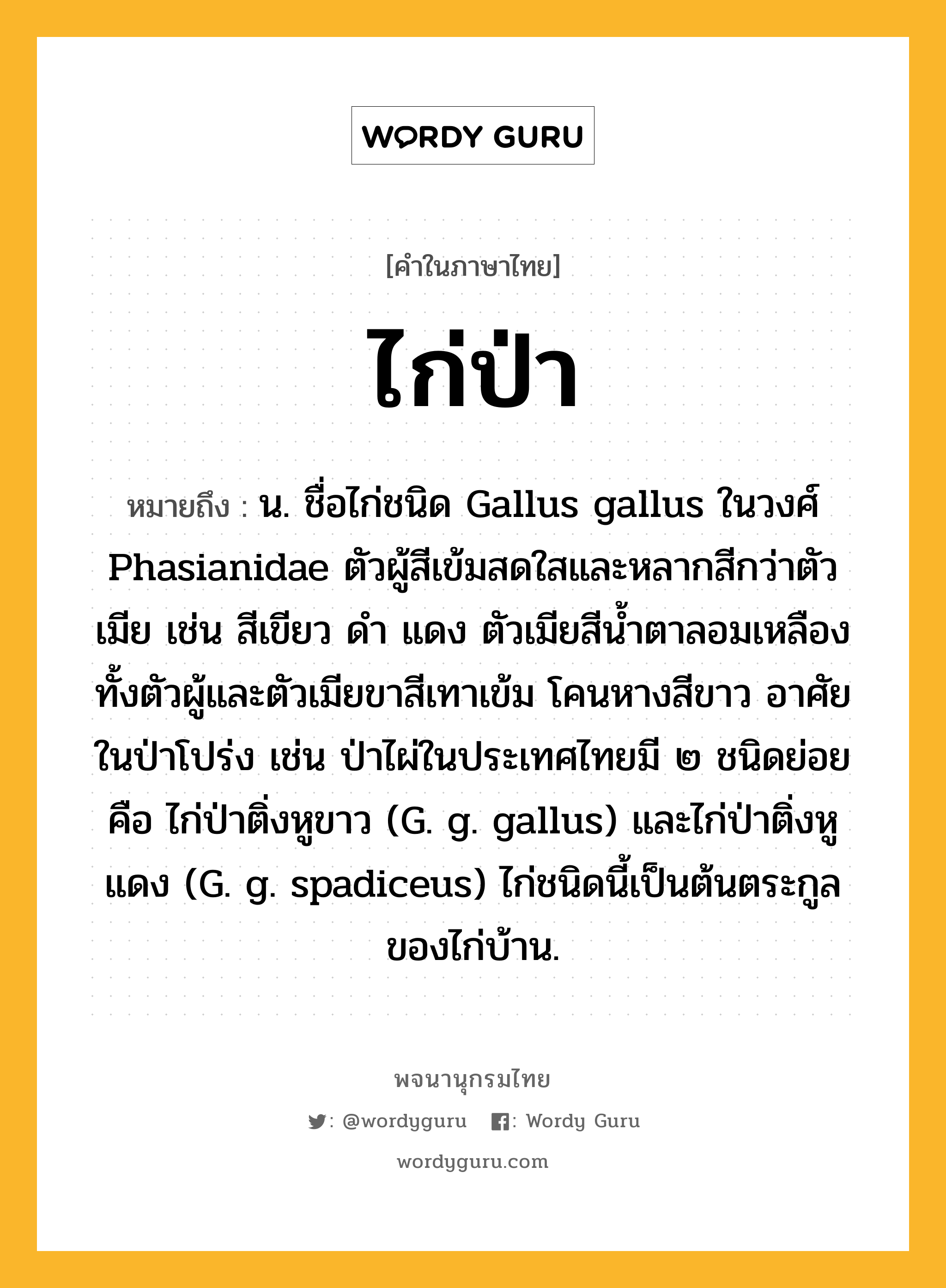 ไก่ป่า ความหมาย หมายถึงอะไร?, คำในภาษาไทย ไก่ป่า หมายถึง น. ชื่อไก่ชนิด Gallus gallus ในวงศ์ Phasianidae ตัวผู้สีเข้มสดใสและหลากสีกว่าตัวเมีย เช่น สีเขียว ดำ แดง ตัวเมียสีน้ำตาลอมเหลือง ทั้งตัวผู้และตัวเมียขาสีเทาเข้ม โคนหางสีขาว อาศัยในป่าโปร่ง เช่น ป่าไผ่ในประเทศไทยมี ๒ ชนิดย่อย คือ ไก่ป่าติ่งหูขาว (G. g. gallus) และไก่ป่าติ่งหูแดง (G. g. spadiceus) ไก่ชนิดนี้เป็นต้นตระกูลของไก่บ้าน.