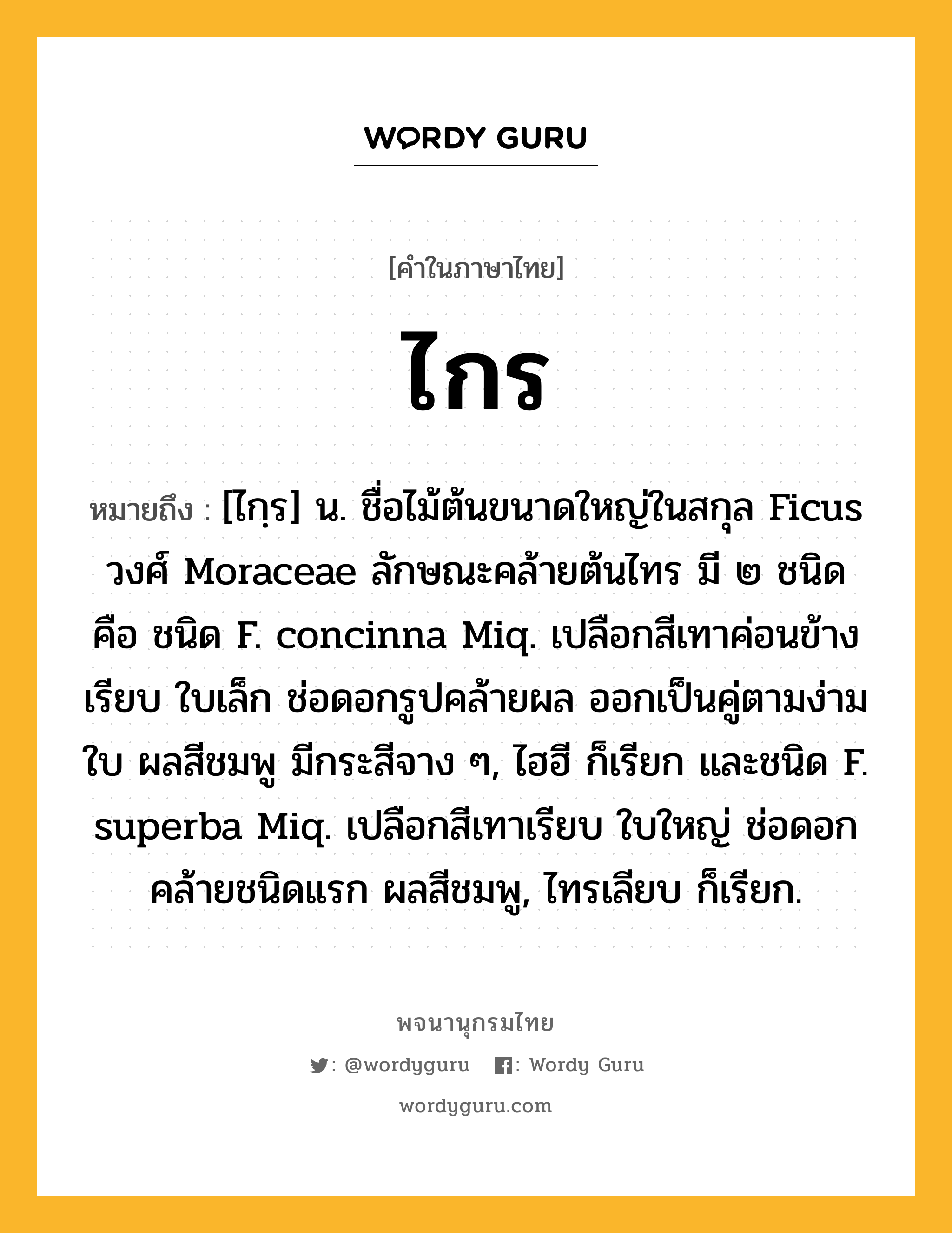 ไกร ความหมาย หมายถึงอะไร?, คำในภาษาไทย ไกร หมายถึง [ไกฺร] น. ชื่อไม้ต้นขนาดใหญ่ในสกุล Ficus วงศ์ Moraceae ลักษณะคล้ายต้นไทร มี ๒ ชนิด คือ ชนิด F. concinna Miq. เปลือกสีเทาค่อนข้างเรียบ ใบเล็ก ช่อดอกรูปคล้ายผล ออกเป็นคู่ตามง่ามใบ ผลสีชมพู มีกระสีจาง ๆ, ไฮฮี ก็เรียก และชนิด F. superba Miq. เปลือกสีเทาเรียบ ใบใหญ่ ช่อดอกคล้ายชนิดแรก ผลสีชมพู, ไทรเลียบ ก็เรียก.