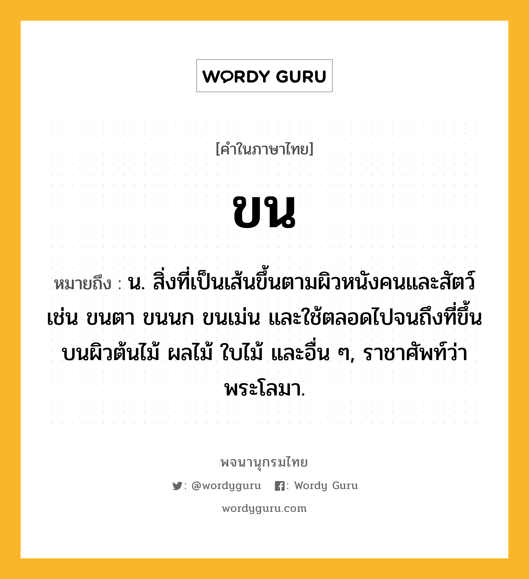 ขน ความหมาย หมายถึงอะไร?, คำในภาษาไทย ขน หมายถึง น. สิ่งที่เป็นเส้นขึ้นตามผิวหนังคนและสัตว์ เช่น ขนตา ขนนก ขนเม่น และใช้ตลอดไปจนถึงที่ขึ้นบนผิวต้นไม้ ผลไม้ ใบไม้ และอื่น ๆ, ราชาศัพท์ว่า พระโลมา.