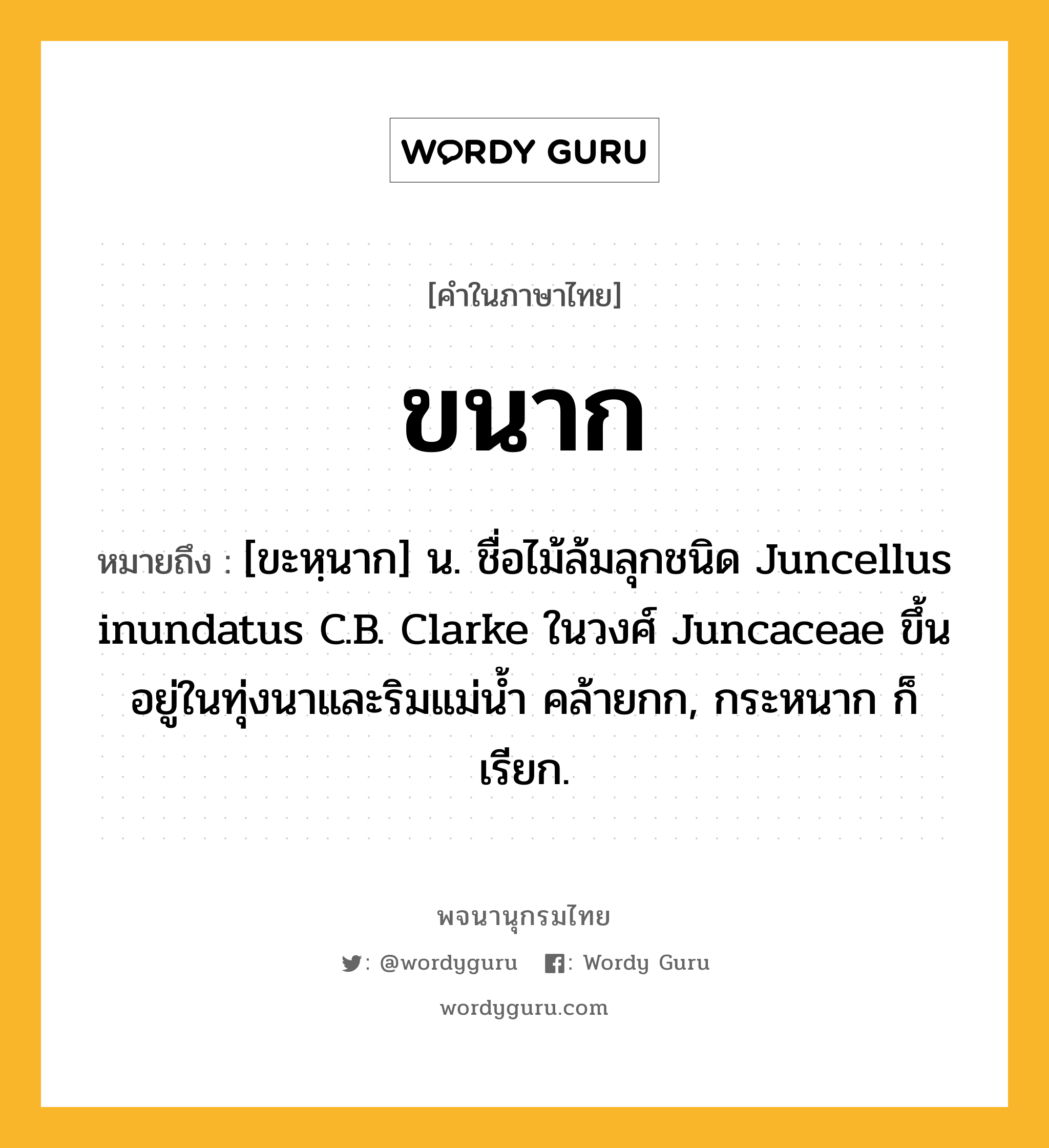 ขนาก ความหมาย หมายถึงอะไร?, คำในภาษาไทย ขนาก หมายถึง [ขะหฺนาก] น. ชื่อไม้ล้มลุกชนิด Juncellus inundatus C.B. Clarke ในวงศ์ Juncaceae ขึ้นอยู่ในทุ่งนาและริมแม่นํ้า คล้ายกก, กระหนาก ก็เรียก.