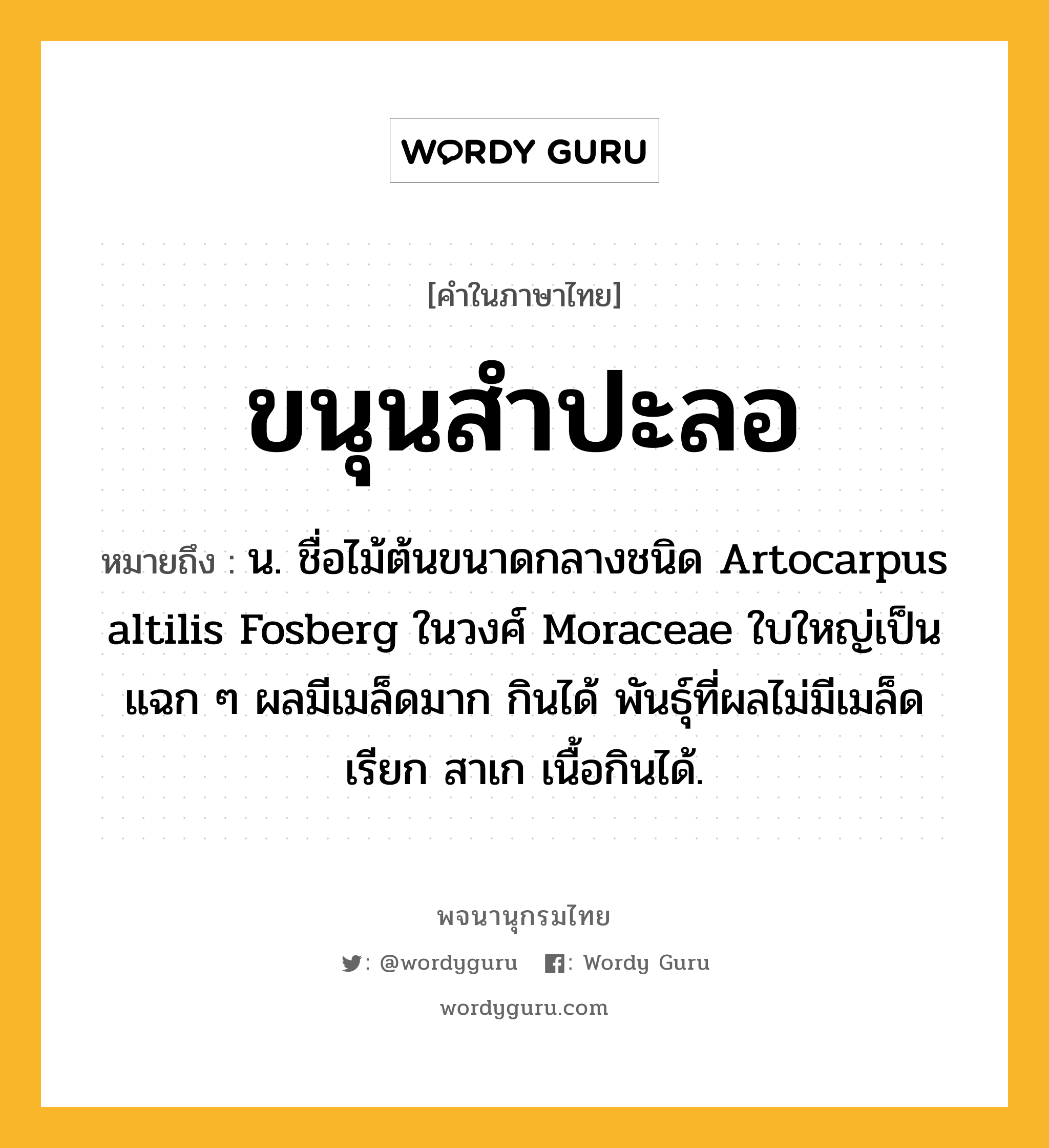 ขนุนสำปะลอ ความหมาย หมายถึงอะไร?, คำในภาษาไทย ขนุนสำปะลอ หมายถึง น. ชื่อไม้ต้นขนาดกลางชนิด Artocarpus altilis Fosberg ในวงศ์ Moraceae ใบใหญ่เป็นแฉก ๆ ผลมีเมล็ดมาก กินได้ พันธุ์ที่ผลไม่มีเมล็ด เรียก สาเก เนื้อกินได้.