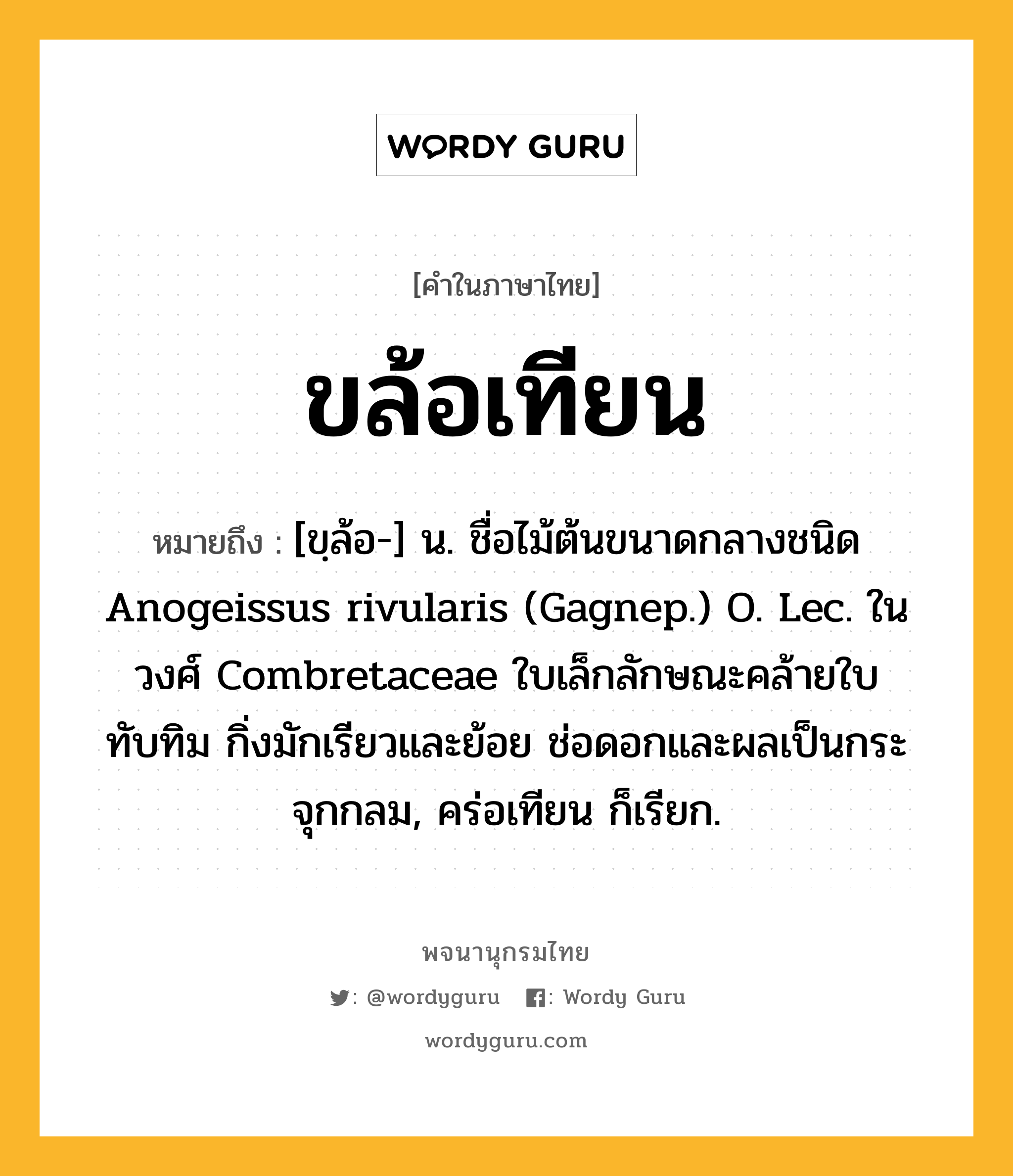 ขล้อเทียน ความหมาย หมายถึงอะไร?, คำในภาษาไทย ขล้อเทียน หมายถึง [ขฺล้อ-] น. ชื่อไม้ต้นขนาดกลางชนิด Anogeissus rivularis (Gagnep.) O. Lec. ในวงศ์ Combretaceae ใบเล็กลักษณะคล้ายใบทับทิม กิ่งมักเรียวและย้อย ช่อดอกและผลเป็นกระจุกกลม, คร่อเทียน ก็เรียก.