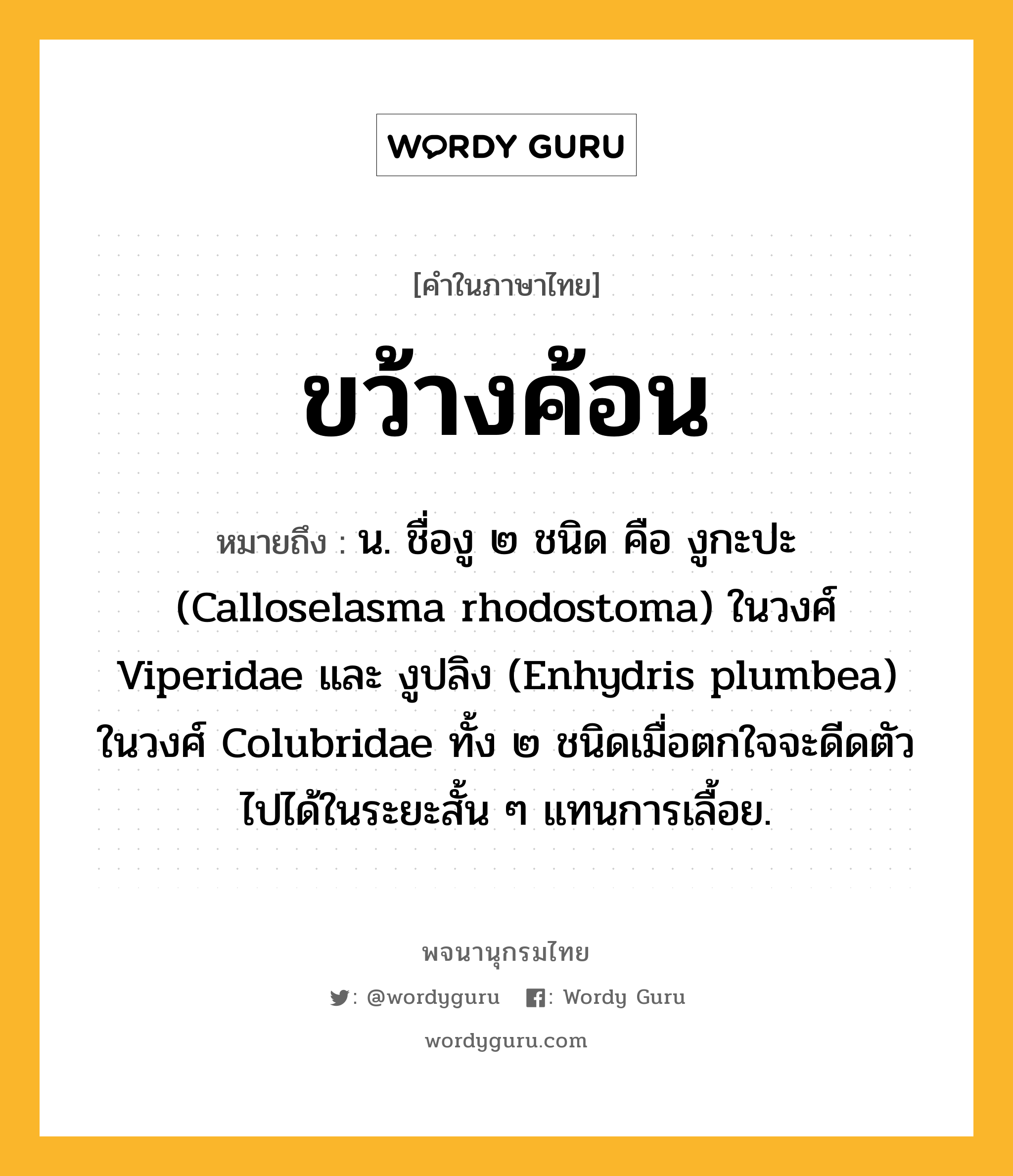 ขว้างค้อน ความหมาย หมายถึงอะไร?, คำในภาษาไทย ขว้างค้อน หมายถึง น. ชื่องู ๒ ชนิด คือ งูกะปะ (Calloselasma rhodostoma) ในวงศ์ Viperidae และ งูปลิง (Enhydris plumbea) ในวงศ์ Colubridae ทั้ง ๒ ชนิดเมื่อตกใจจะดีดตัวไปได้ในระยะสั้น ๆ แทนการเลื้อย.