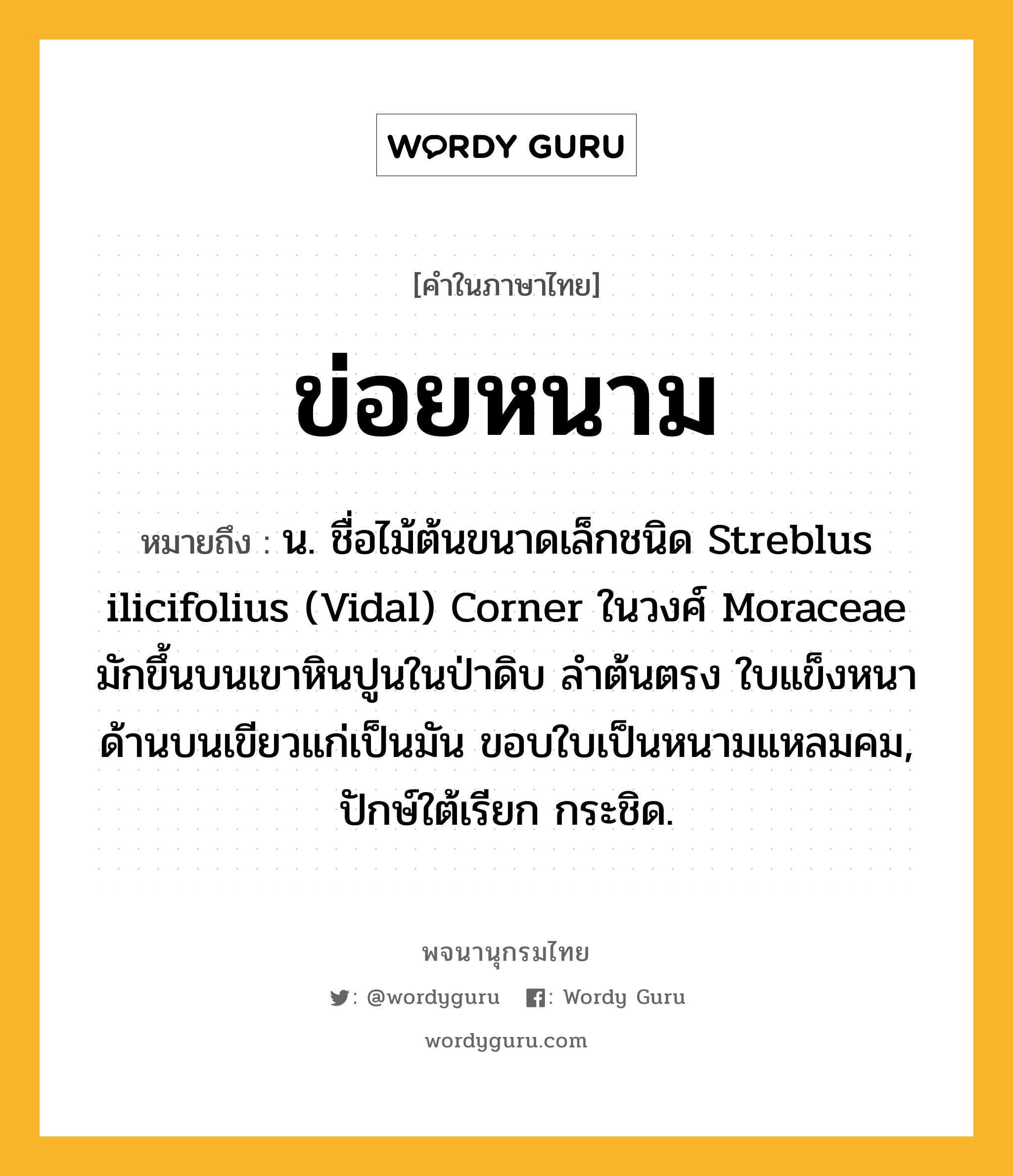 ข่อยหนาม ความหมาย หมายถึงอะไร?, คำในภาษาไทย ข่อยหนาม หมายถึง น. ชื่อไม้ต้นขนาดเล็กชนิด Streblus ilicifolius (Vidal) Corner ในวงศ์ Moraceae มักขึ้นบนเขาหินปูนในป่าดิบ ลําต้นตรง ใบแข็งหนา ด้านบนเขียวแก่เป็นมัน ขอบใบเป็นหนามแหลมคม, ปักษ์ใต้เรียก กระชิด.