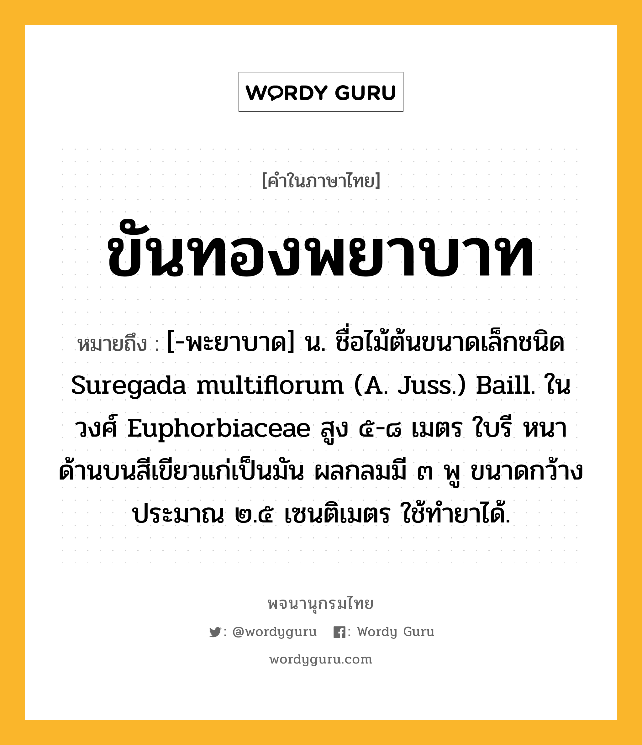 ขันทองพยาบาท ความหมาย หมายถึงอะไร?, คำในภาษาไทย ขันทองพยาบาท หมายถึง [-พะยาบาด] น. ชื่อไม้ต้นขนาดเล็กชนิด Suregada multiflorum (A. Juss.) Baill. ในวงศ์ Euphorbiaceae สูง ๕-๘ เมตร ใบรี หนา ด้านบนสีเขียวแก่เป็นมัน ผลกลมมี ๓ พู ขนาดกว้างประมาณ ๒.๕ เซนติเมตร ใช้ทํายาได้.