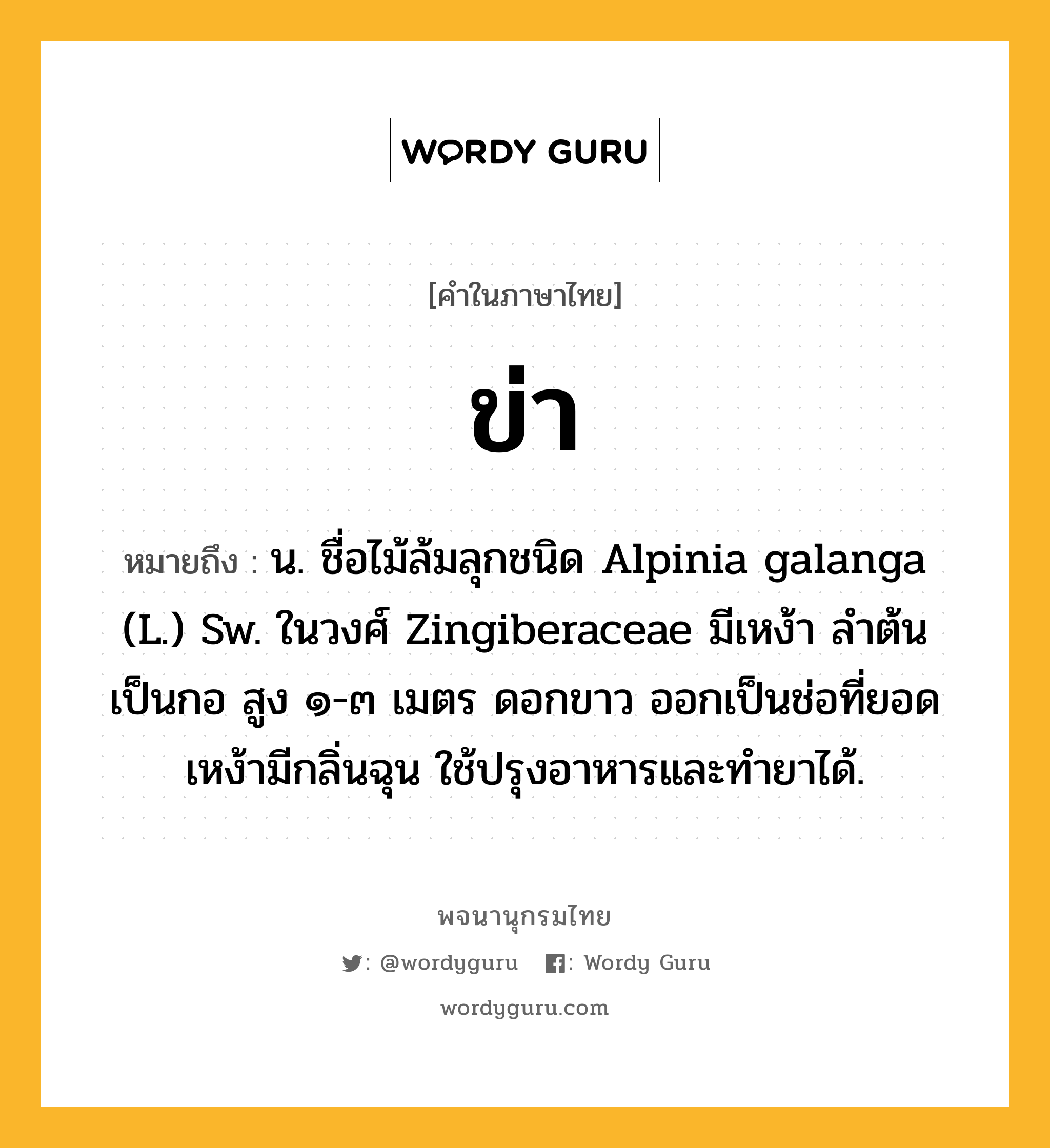 ข่า ความหมาย หมายถึงอะไร?, คำในภาษาไทย ข่า หมายถึง น. ชื่อไม้ล้มลุกชนิด Alpinia galanga (L.) Sw. ในวงศ์ Zingiberaceae มีเหง้า ลําต้นเป็นกอ สูง ๑-๓ เมตร ดอกขาว ออกเป็นช่อที่ยอด เหง้ามีกลิ่นฉุน ใช้ปรุงอาหารและทํายาได้.