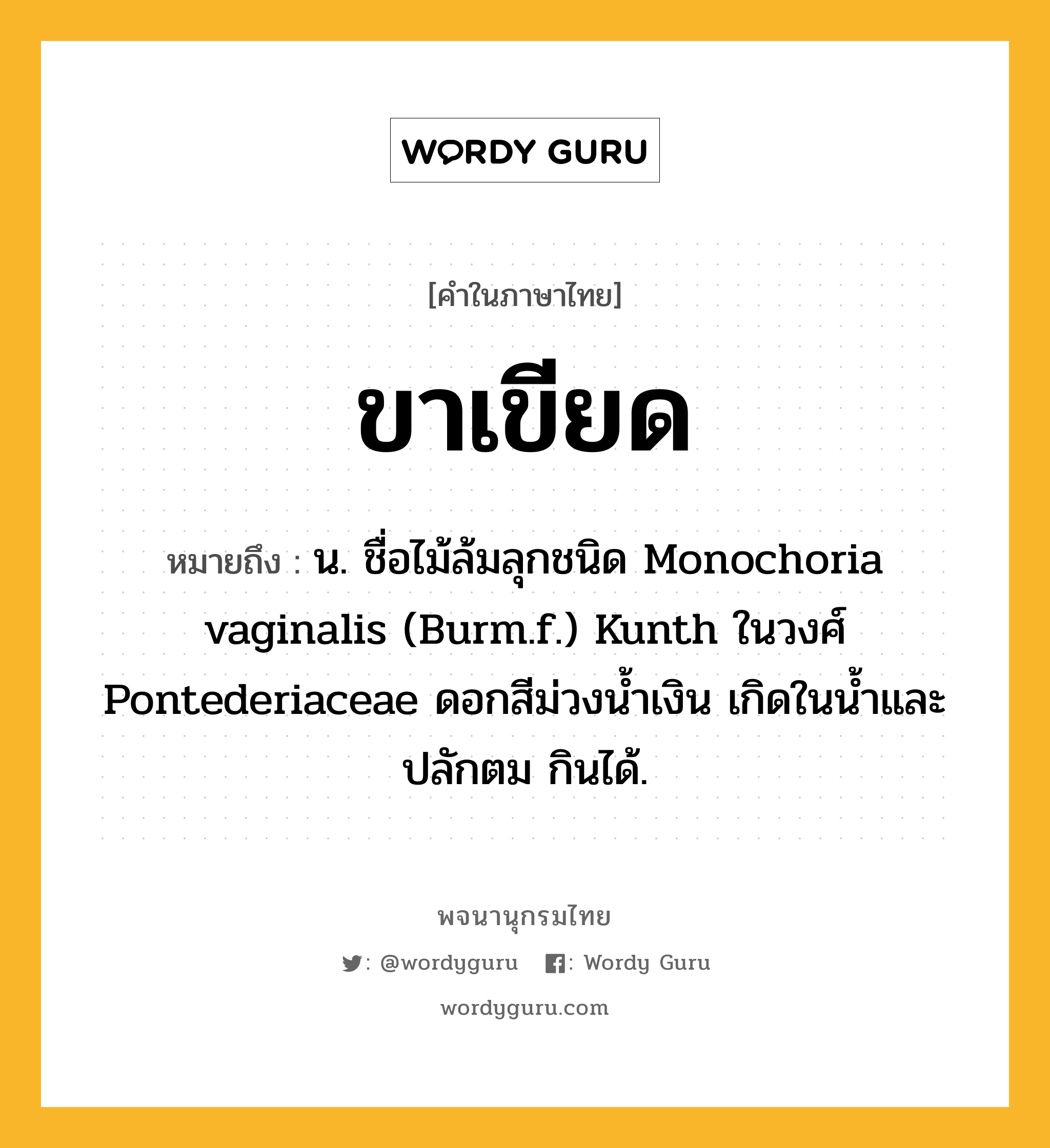 ขาเขียด ความหมาย หมายถึงอะไร?, คำในภาษาไทย ขาเขียด หมายถึง น. ชื่อไม้ล้มลุกชนิด Monochoria vaginalis (Burm.f.) Kunth ในวงศ์ Pontederiaceae ดอกสีม่วงนํ้าเงิน เกิดในนํ้าและปลักตม กินได้.