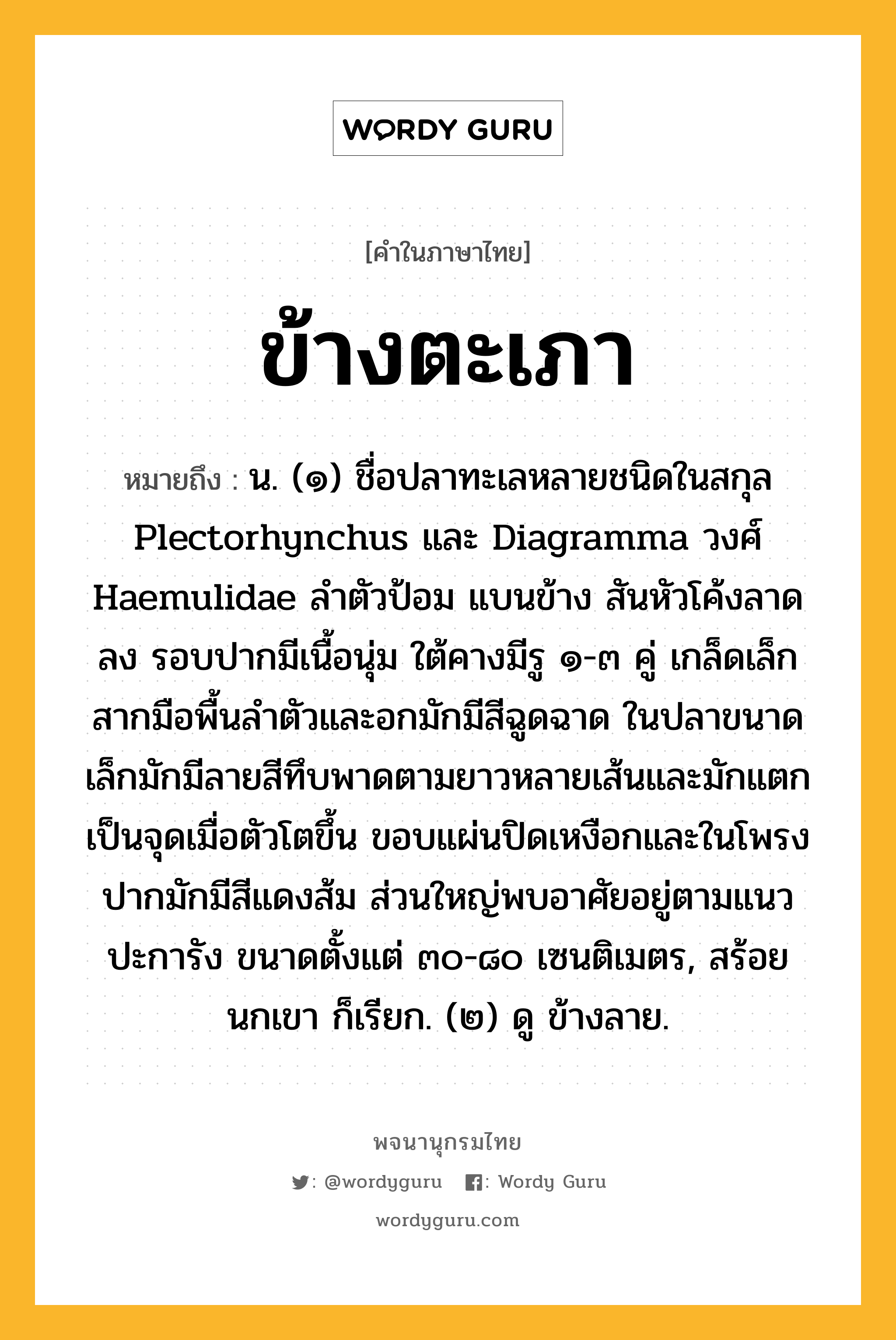 ข้างตะเภา ความหมาย หมายถึงอะไร?, คำในภาษาไทย ข้างตะเภา หมายถึง น. (๑) ชื่อปลาทะเลหลายชนิดในสกุล Plectorhynchus และ Diagramma วงศ์ Haemulidae ลำตัวป้อม แบนข้าง สันหัวโค้งลาดลง รอบปากมีเนื้อนุ่ม ใต้คางมีรู ๑-๓ คู่ เกล็ดเล็กสากมือพื้นลำตัวและอกมักมีสีฉูดฉาด ในปลาขนาดเล็กมักมีลายสีทึบพาดตามยาวหลายเส้นและมักแตกเป็นจุดเมื่อตัวโตขึ้น ขอบแผ่นปิดเหงือกและในโพรงปากมักมีสีแดงส้ม ส่วนใหญ่พบอาศัยอยู่ตามแนวปะการัง ขนาดตั้งแต่ ๓๐-๘๐ เซนติเมตร, สร้อยนกเขา ก็เรียก. (๒) ดู ข้างลาย.