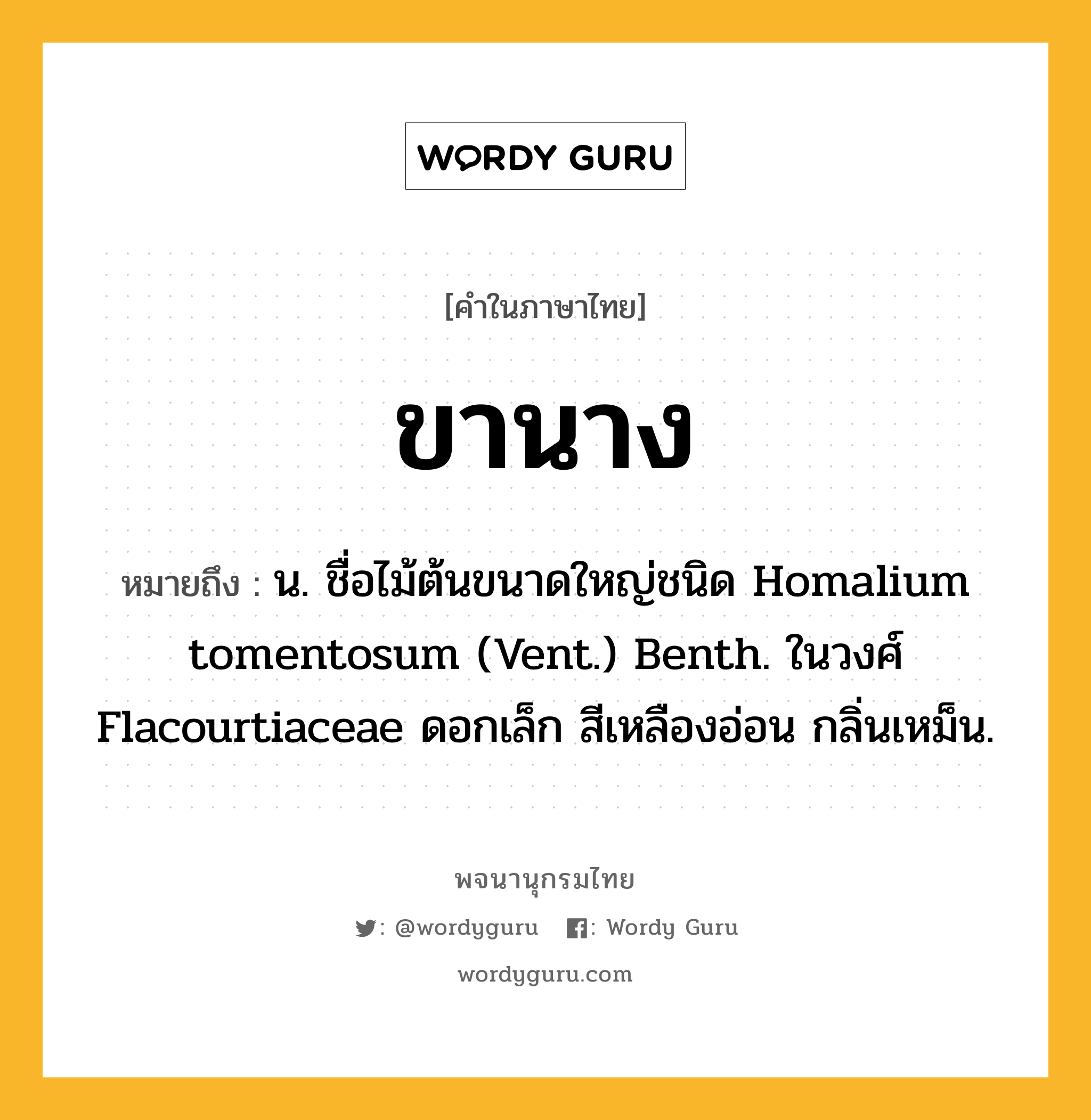 ขานาง ความหมาย หมายถึงอะไร?, คำในภาษาไทย ขานาง หมายถึง น. ชื่อไม้ต้นขนาดใหญ่ชนิด Homalium tomentosum (Vent.) Benth. ในวงศ์ Flacourtiaceae ดอกเล็ก สีเหลืองอ่อน กลิ่นเหม็น.