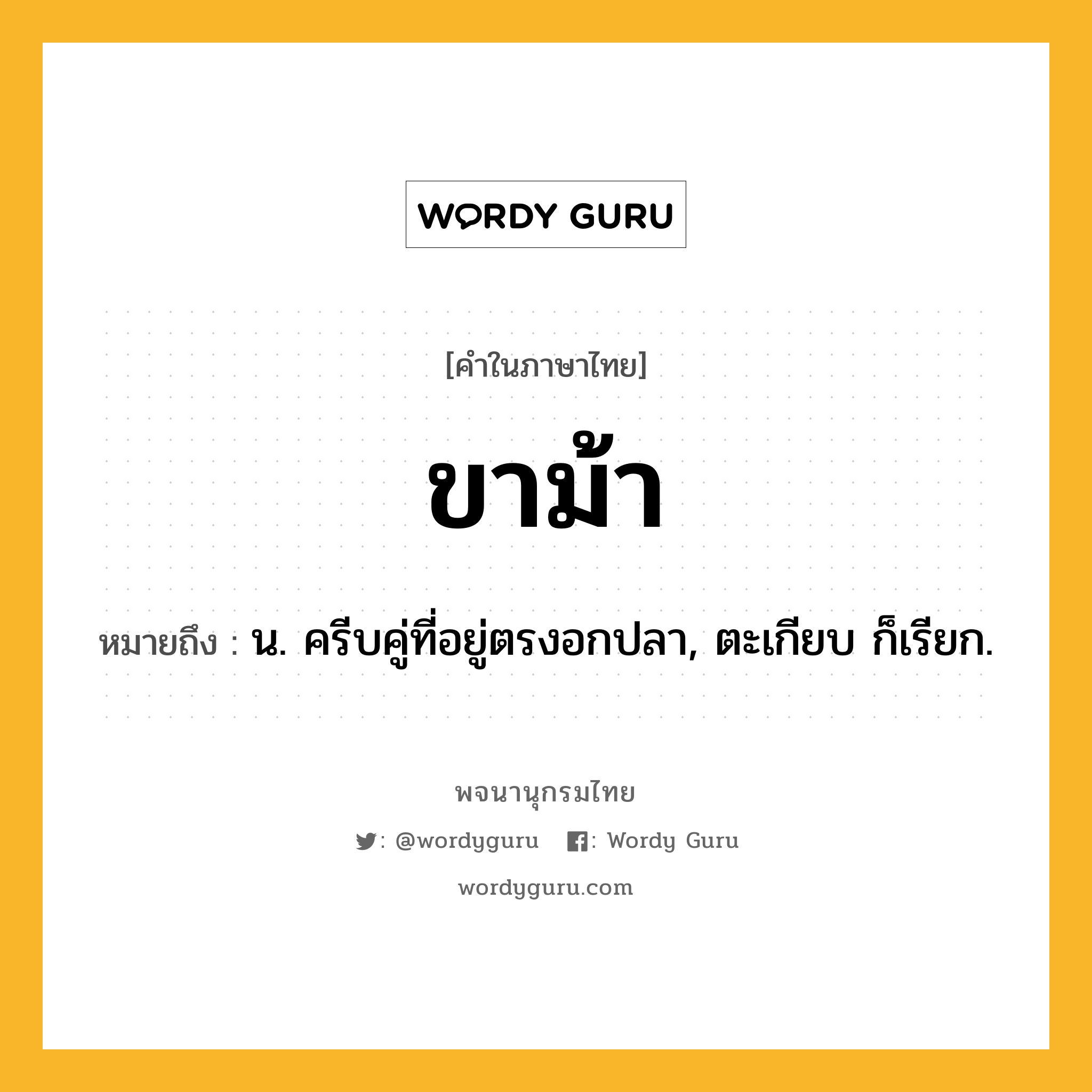 ขาม้า ความหมาย หมายถึงอะไร?, คำในภาษาไทย ขาม้า หมายถึง น. ครีบคู่ที่อยู่ตรงอกปลา, ตะเกียบ ก็เรียก.