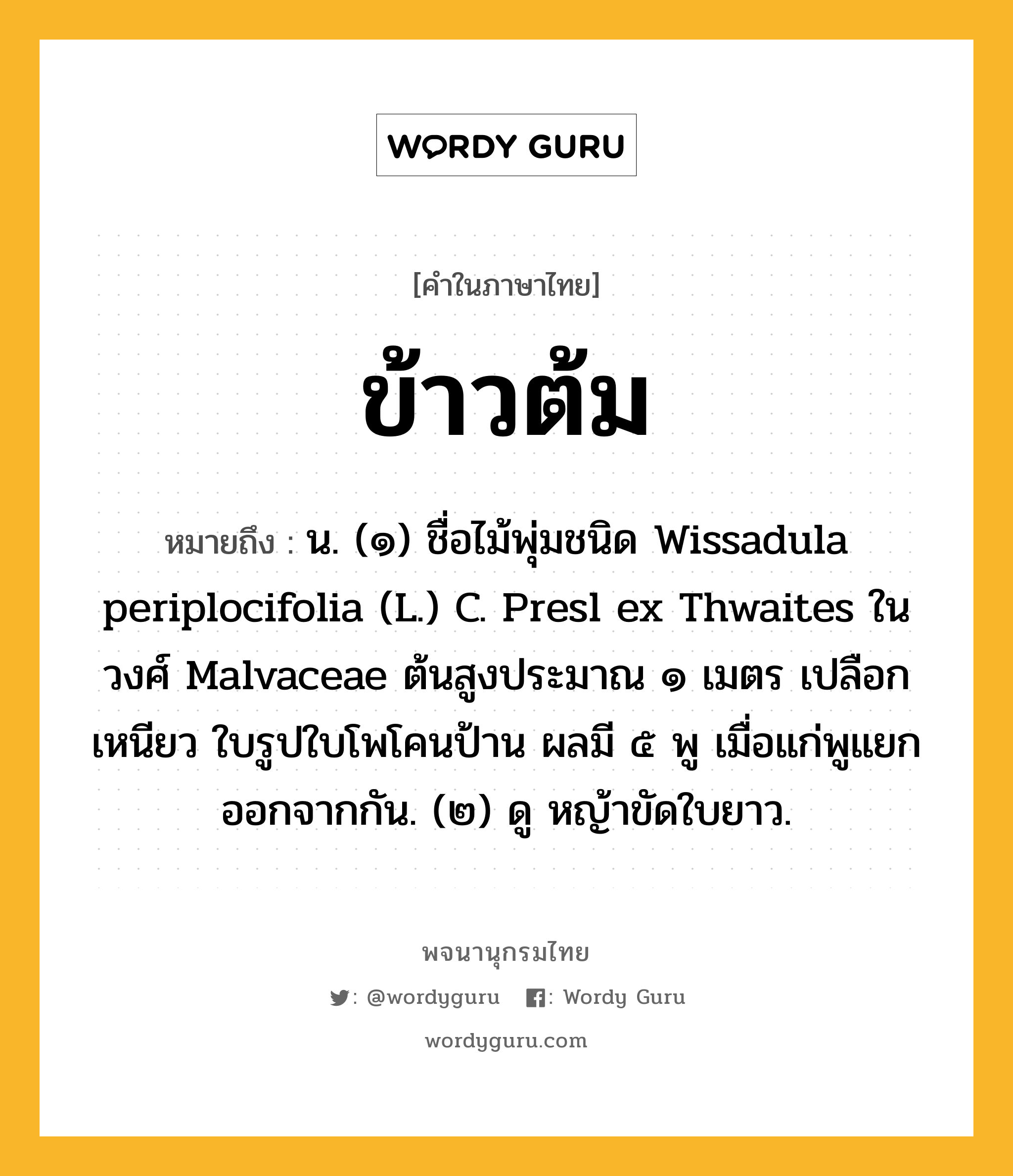 ข้าวต้ม ความหมาย หมายถึงอะไร?, คำในภาษาไทย ข้าวต้ม หมายถึง น. (๑) ชื่อไม้พุ่มชนิด Wissadula periplocifolia (L.) C. Presl ex Thwaites ในวงศ์ Malvaceae ต้นสูงประมาณ ๑ เมตร เปลือกเหนียว ใบรูปใบโพโคนป้าน ผลมี ๕ พู เมื่อแก่พูแยกออกจากกัน. (๒) ดู หญ้าขัดใบยาว.