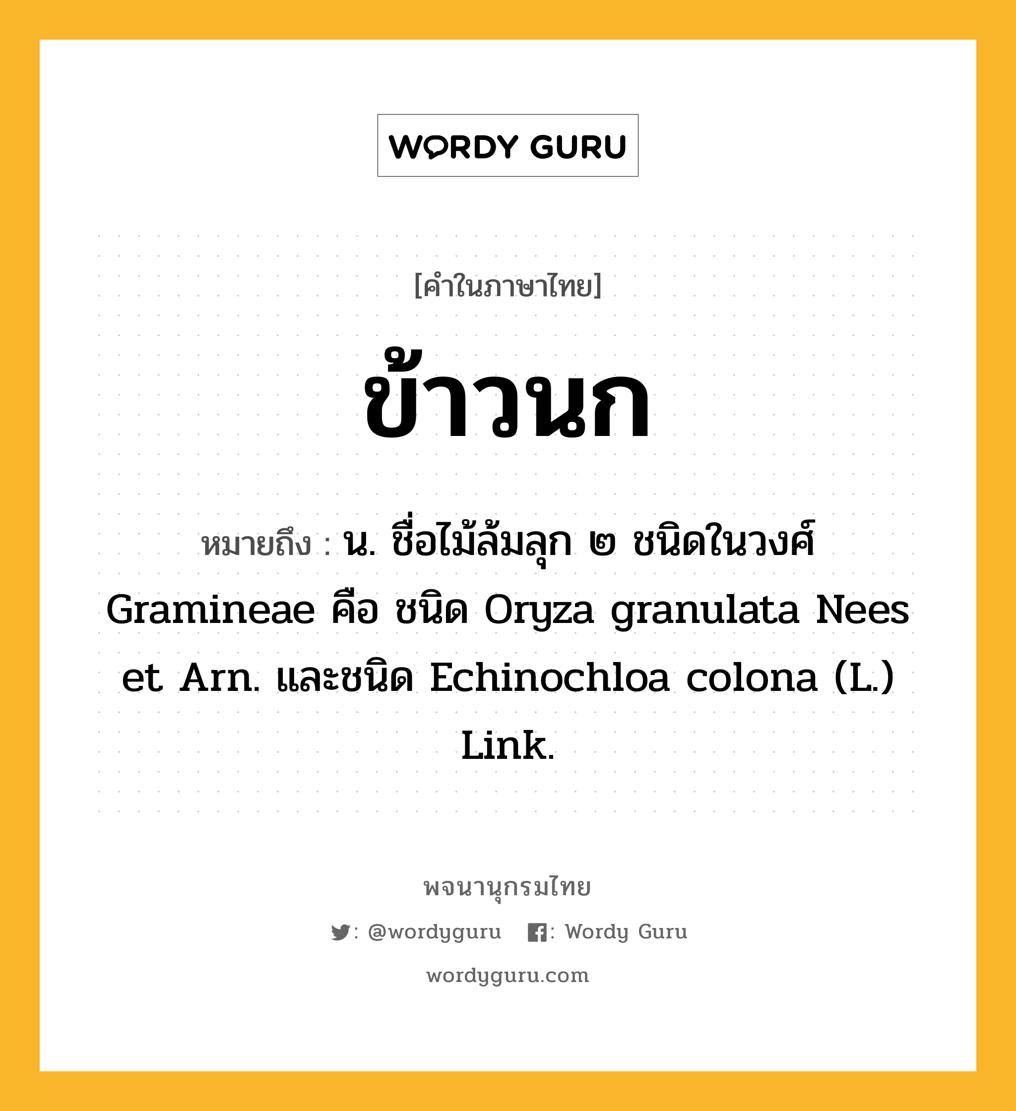 ข้าวนก ความหมาย หมายถึงอะไร?, คำในภาษาไทย ข้าวนก หมายถึง น. ชื่อไม้ล้มลุก ๒ ชนิดในวงศ์ Gramineae คือ ชนิด Oryza granulata Nees et Arn. และชนิด Echinochloa colona (L.) Link.