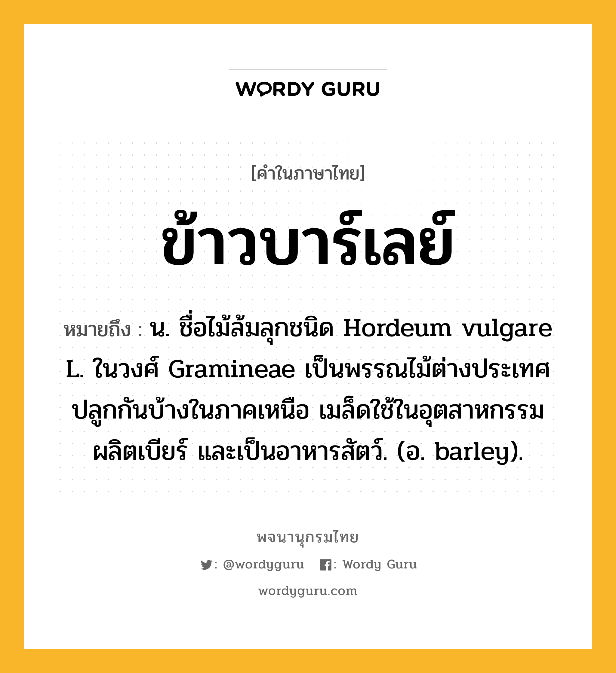 ข้าวบาร์เลย์ ความหมาย หมายถึงอะไร?, คำในภาษาไทย ข้าวบาร์เลย์ หมายถึง น. ชื่อไม้ล้มลุกชนิด Hordeum vulgare L. ในวงศ์ Gramineae เป็นพรรณไม้ต่างประเทศ ปลูกกันบ้างในภาคเหนือ เมล็ดใช้ในอุตสาหกรรมผลิตเบียร์ และเป็นอาหารสัตว์. (อ. barley).