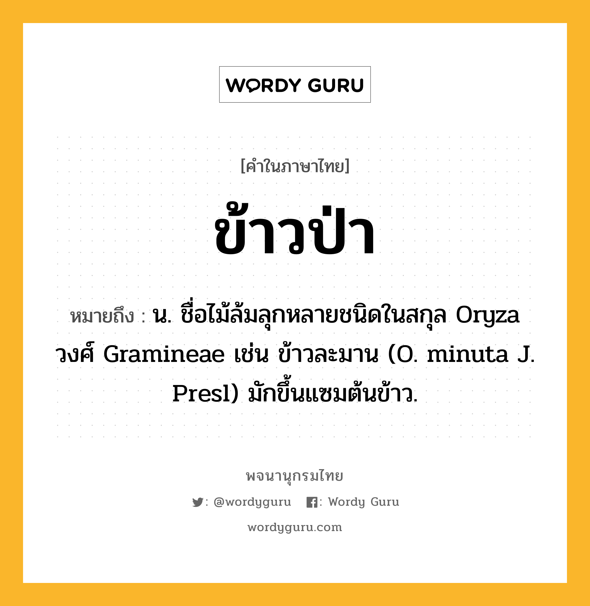 ข้าวป่า ความหมาย หมายถึงอะไร?, คำในภาษาไทย ข้าวป่า หมายถึง น. ชื่อไม้ล้มลุกหลายชนิดในสกุล Oryza วงศ์ Gramineae เช่น ข้าวละมาน (O. minuta J. Presl) มักขึ้นแซมต้นข้าว.