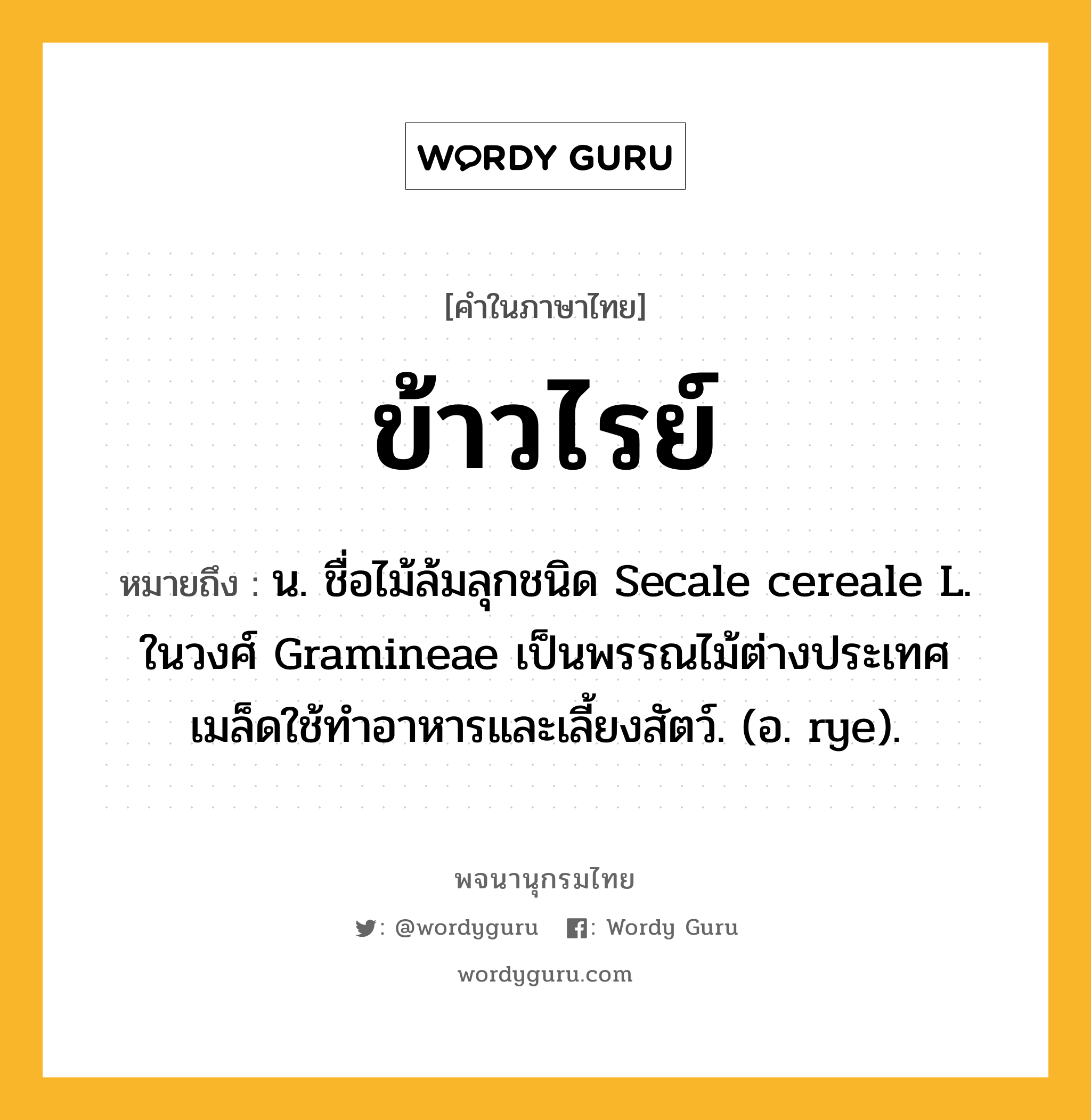 ข้าวไรย์ ความหมาย หมายถึงอะไร?, คำในภาษาไทย ข้าวไรย์ หมายถึง น. ชื่อไม้ล้มลุกชนิด Secale cereale L. ในวงศ์ Gramineae เป็นพรรณไม้ต่างประเทศ เมล็ดใช้ทําอาหารและเลี้ยงสัตว์. (อ. rye).